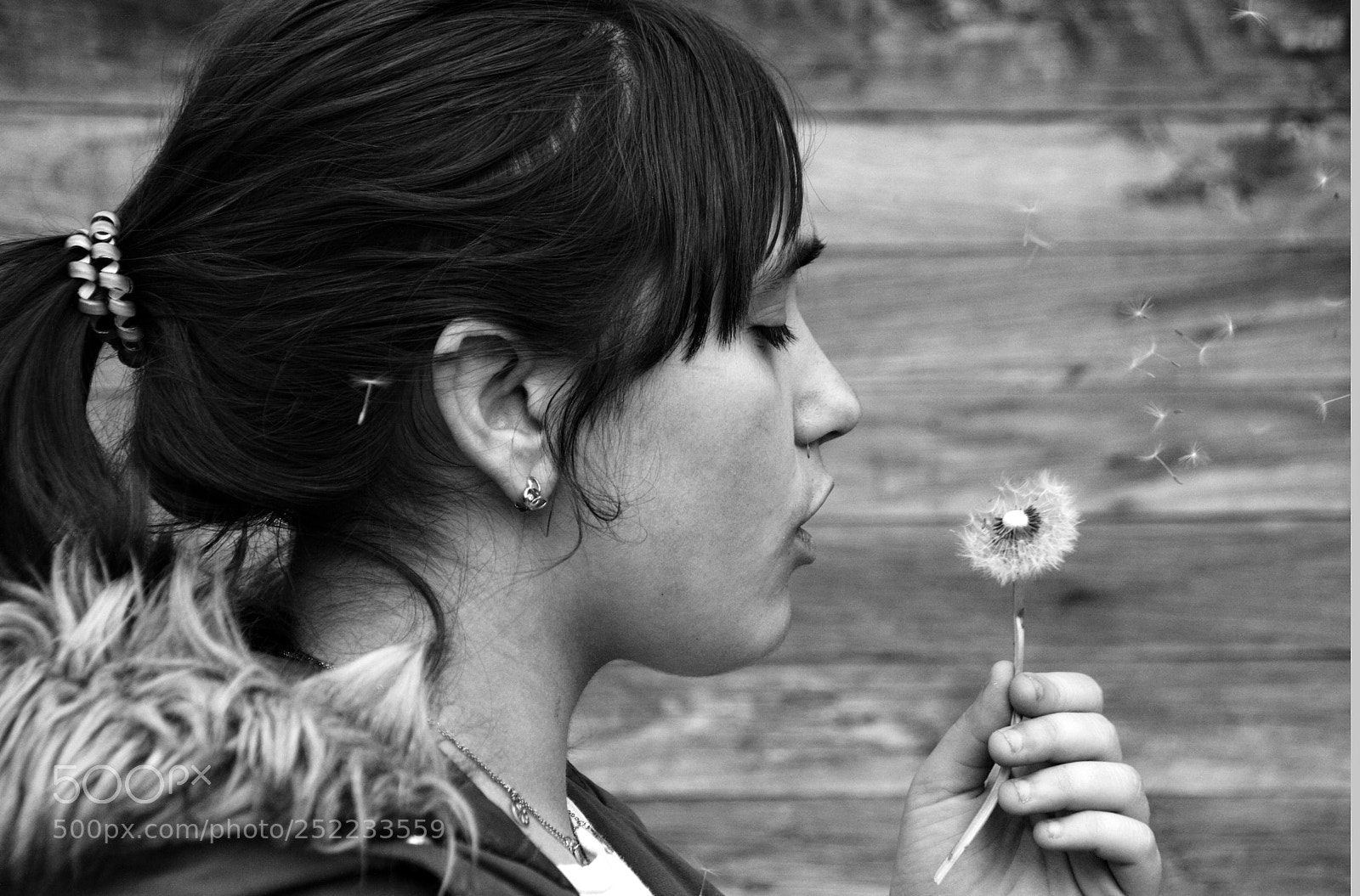 Nikon D3200 sample photo. // photography