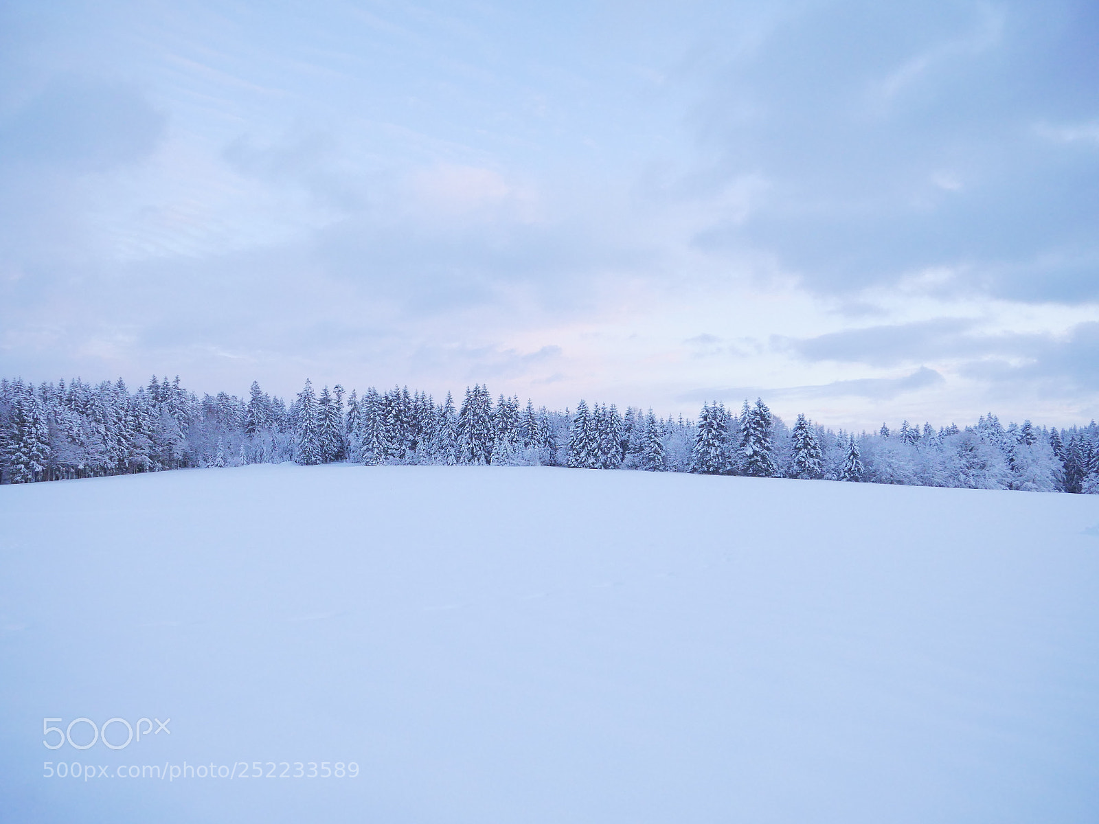 Panasonic Lumix DMC-GX8 sample photo. Winterwald photography