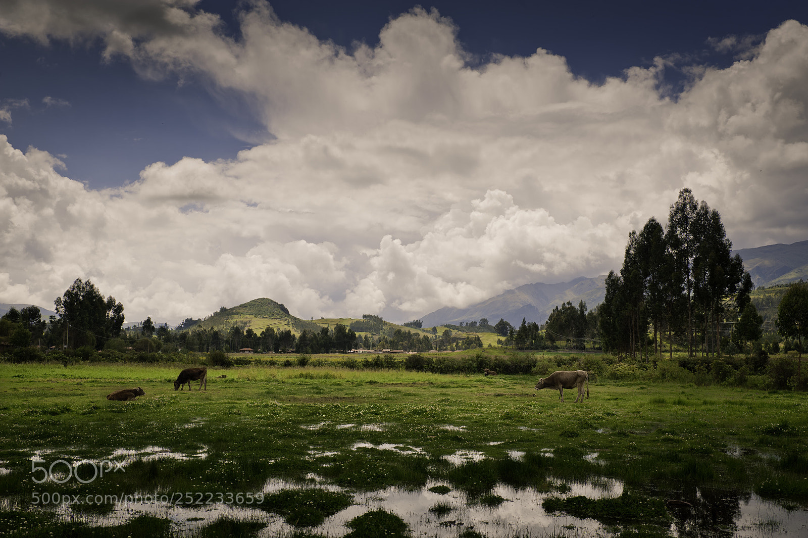Nikon D700 sample photo.  anta, cusco  photography