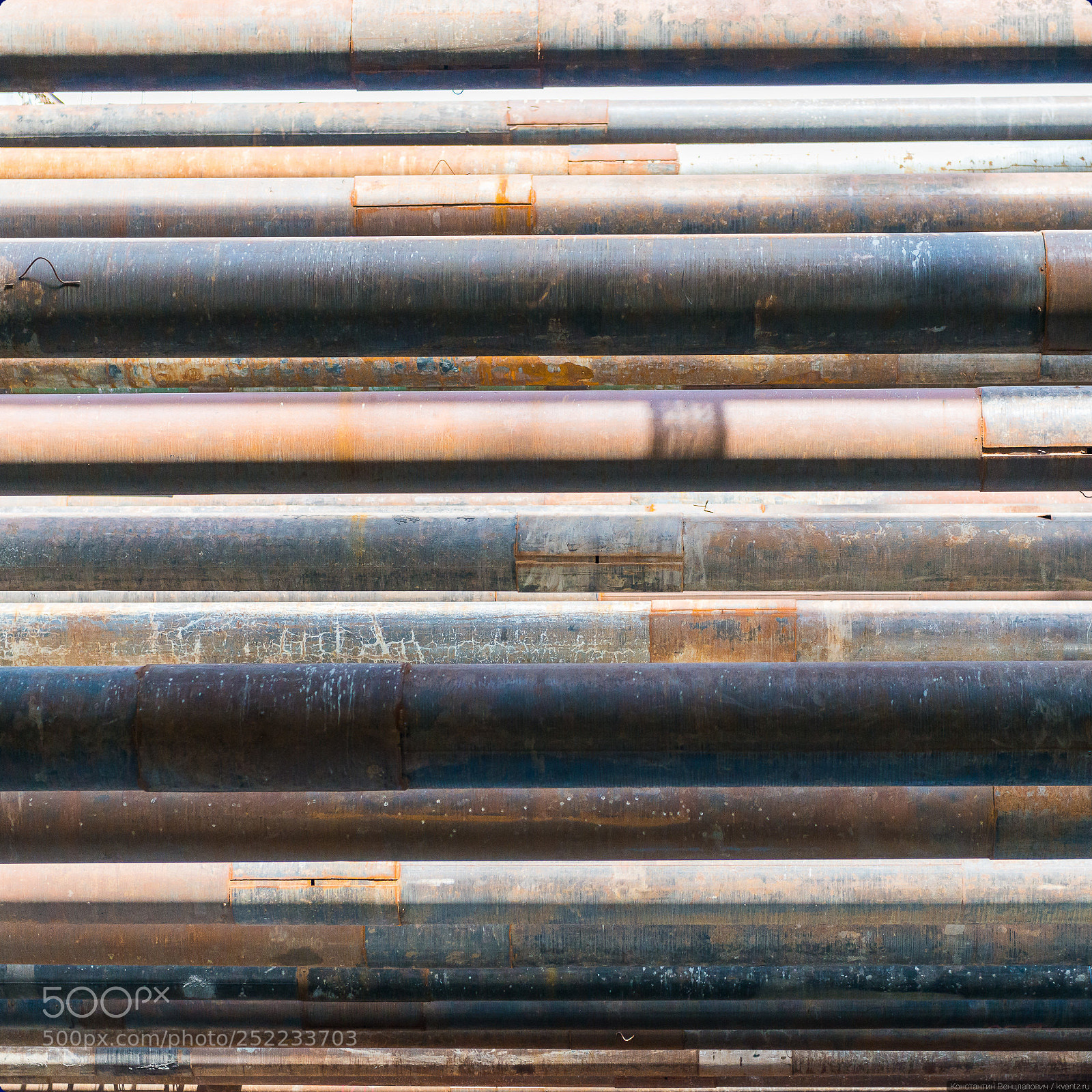 Nikon D800 sample photo. Tubes photography