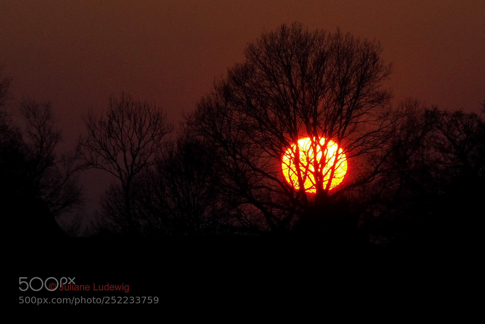 Olympus OM-D E-M10 II sample photo. Sonnenuntergang photography