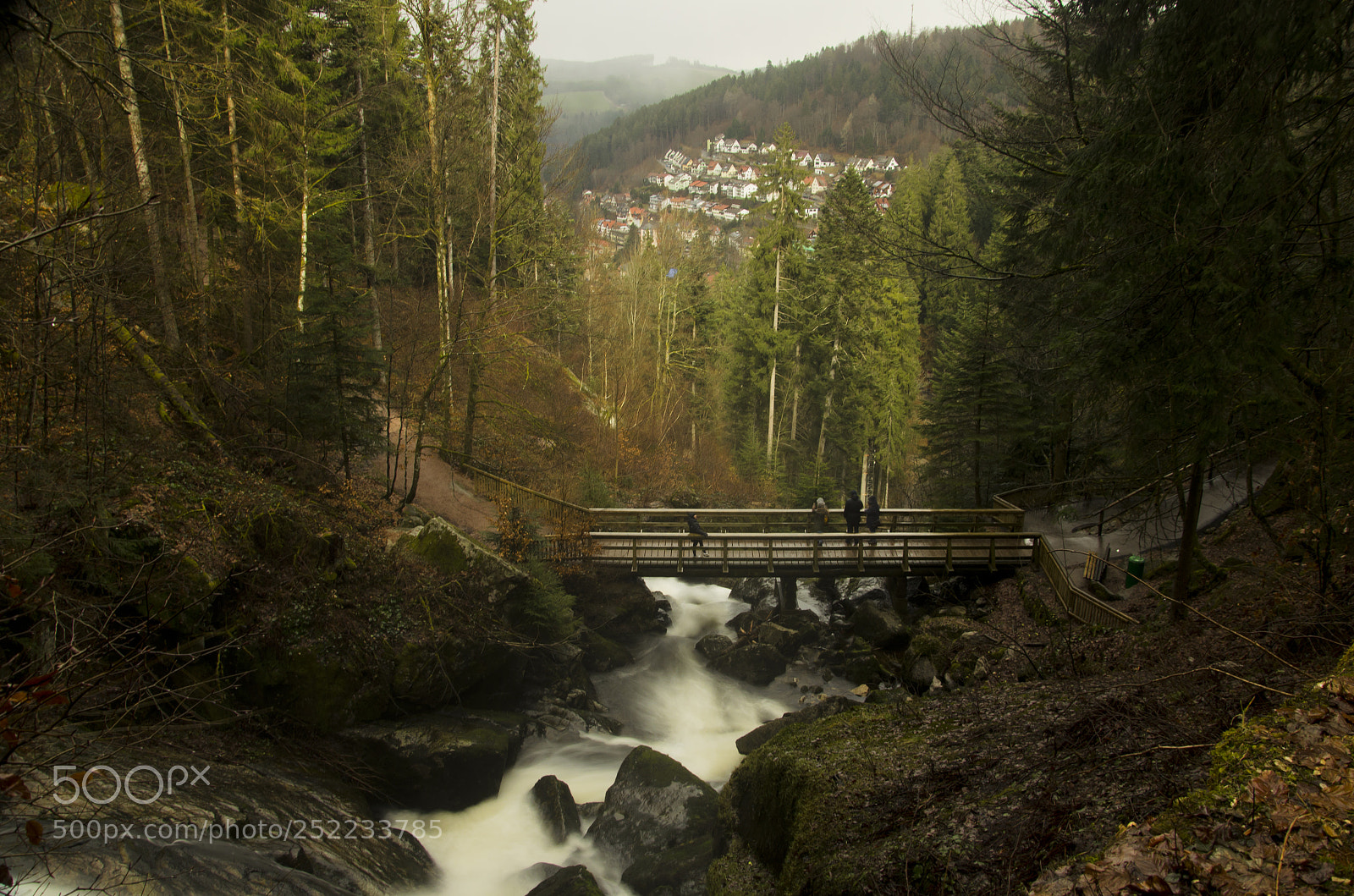 Nikon D5100 sample photo. Triberg photography