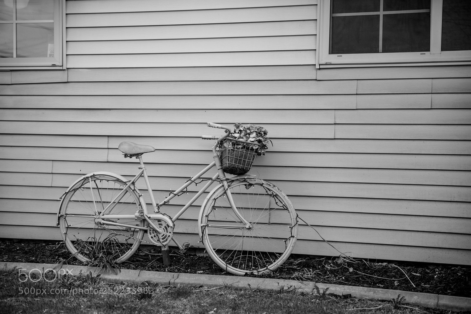Canon EOS 6D Mark II sample photo. Bicycle by a wall photography