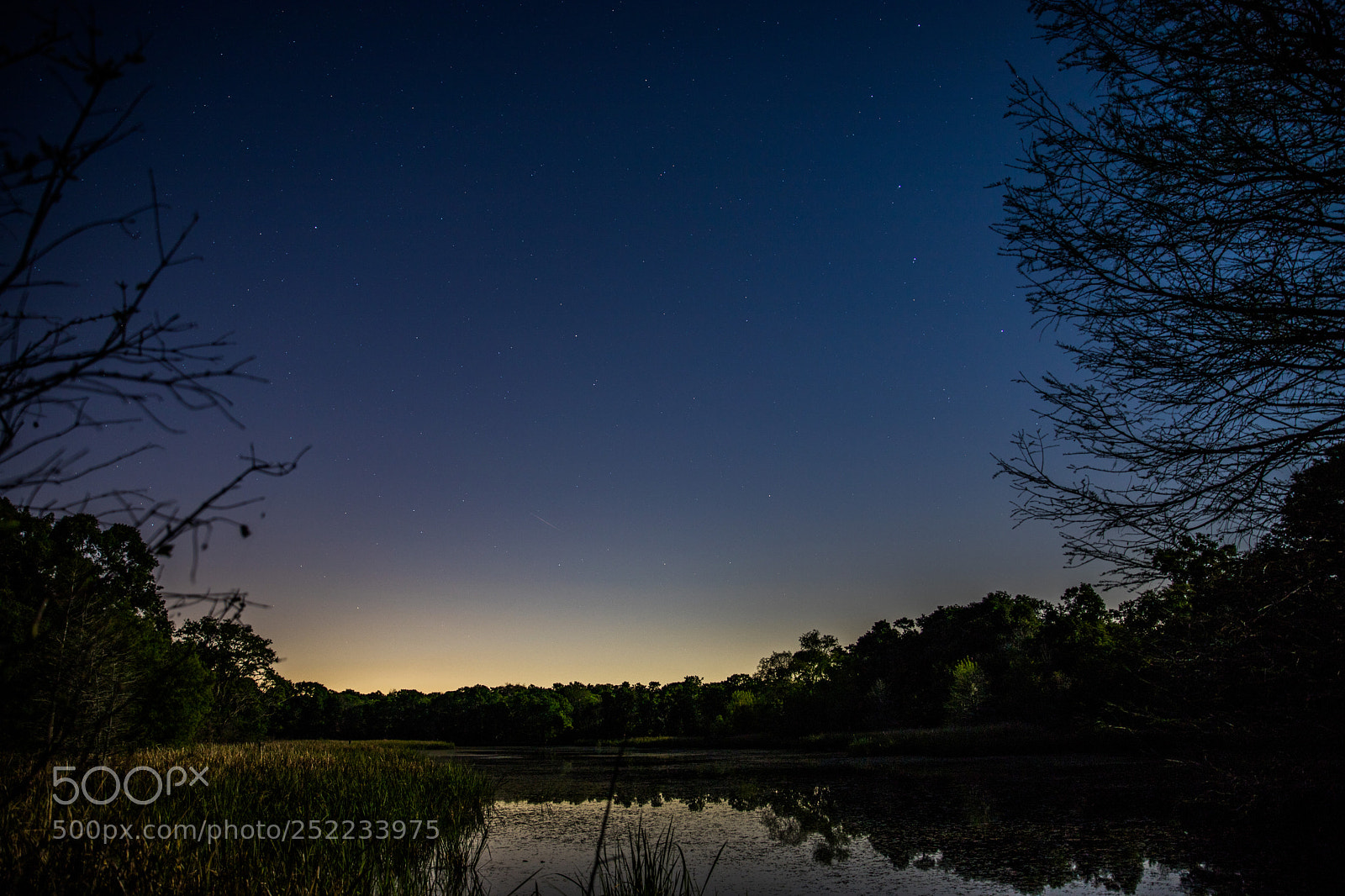 Canon EOS 6D Mark II sample photo. Brazos bend state park photography