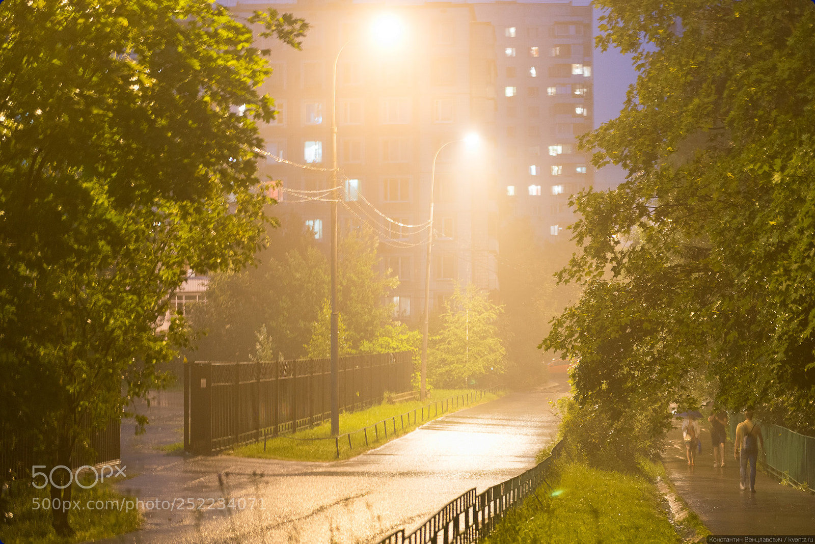 Nikon D800 sample photo. Fog near my house photography