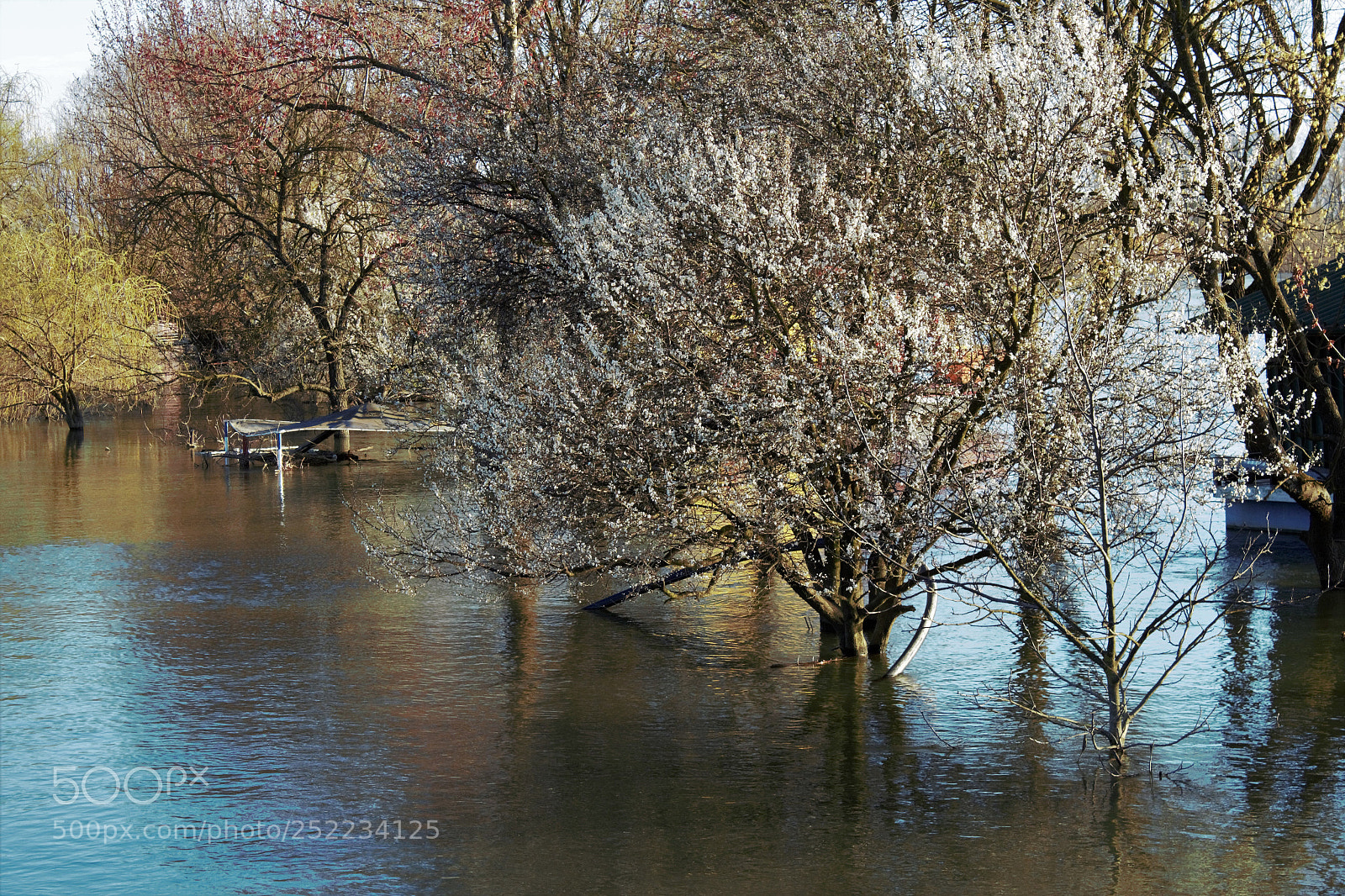 Canon EOS 700D (EOS Rebel T5i / EOS Kiss X7i) sample photo. Blossom photography