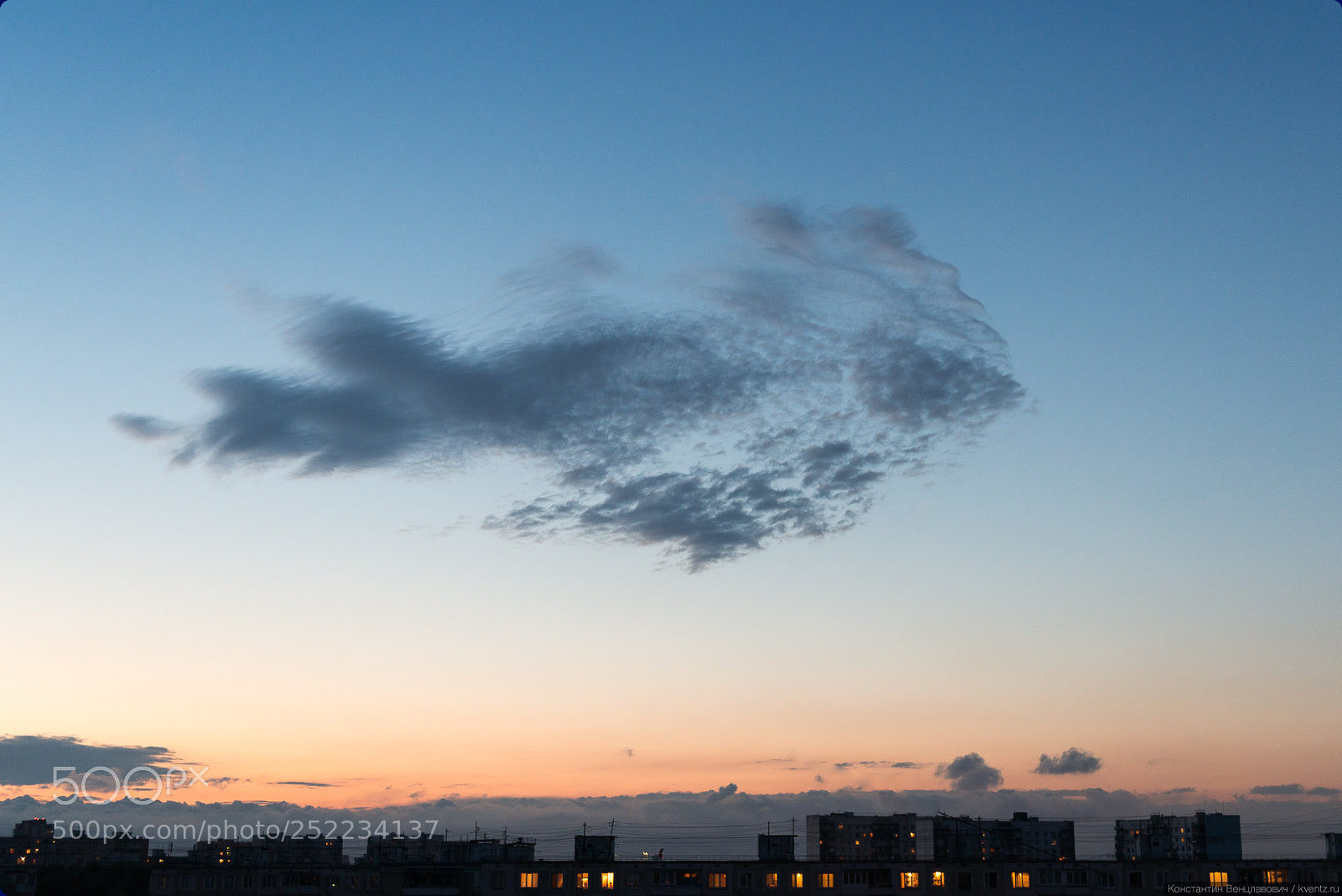 Nikon D800 sample photo. Fish in the sky photography