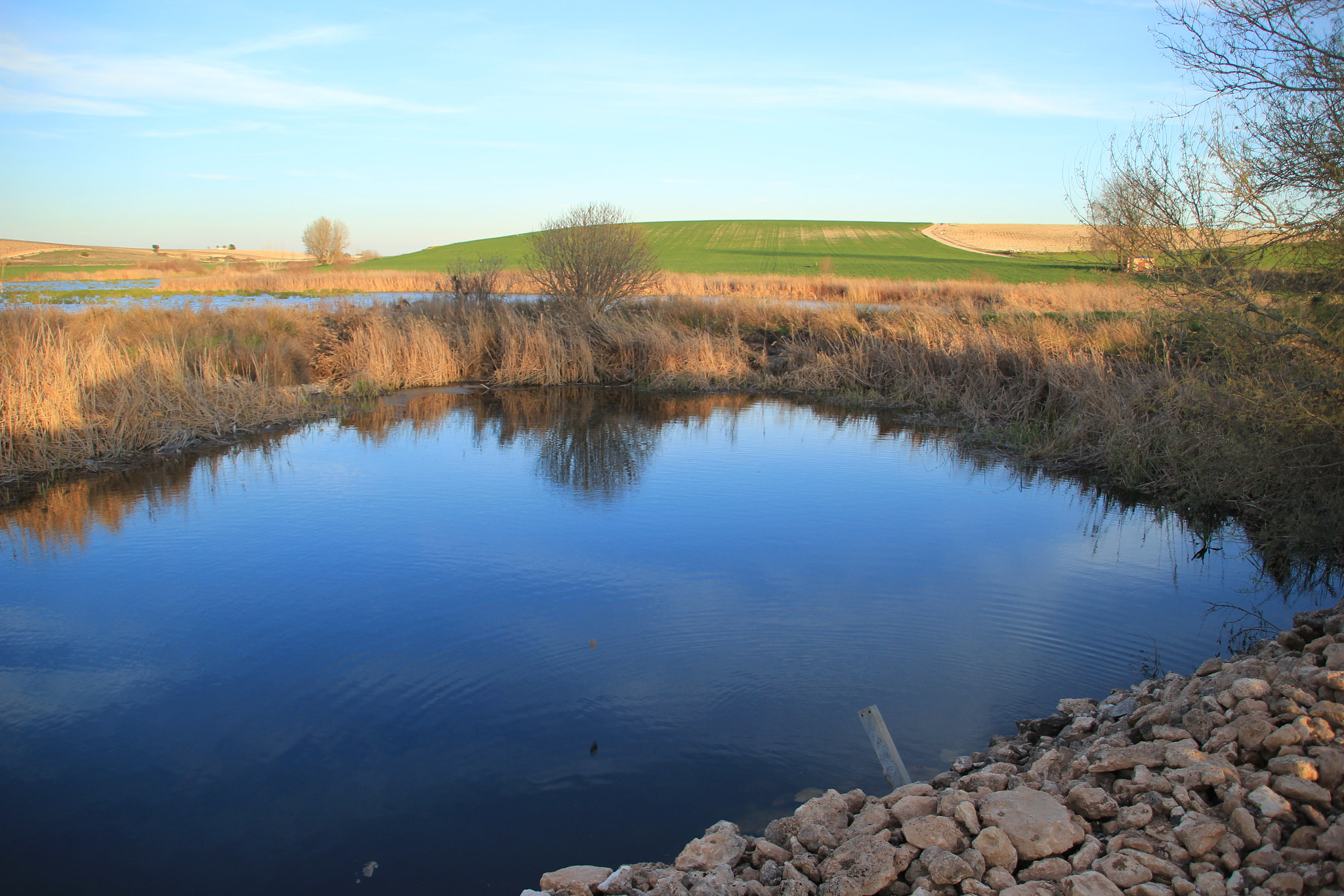 Canon TS-E 90mm F2.8 Tilt-Shift sample photo. A la sombra de los molinos de daimiel photography