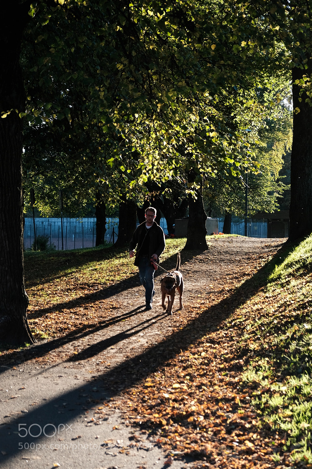 Fujifilm X-T2 sample photo. Autumn light photography