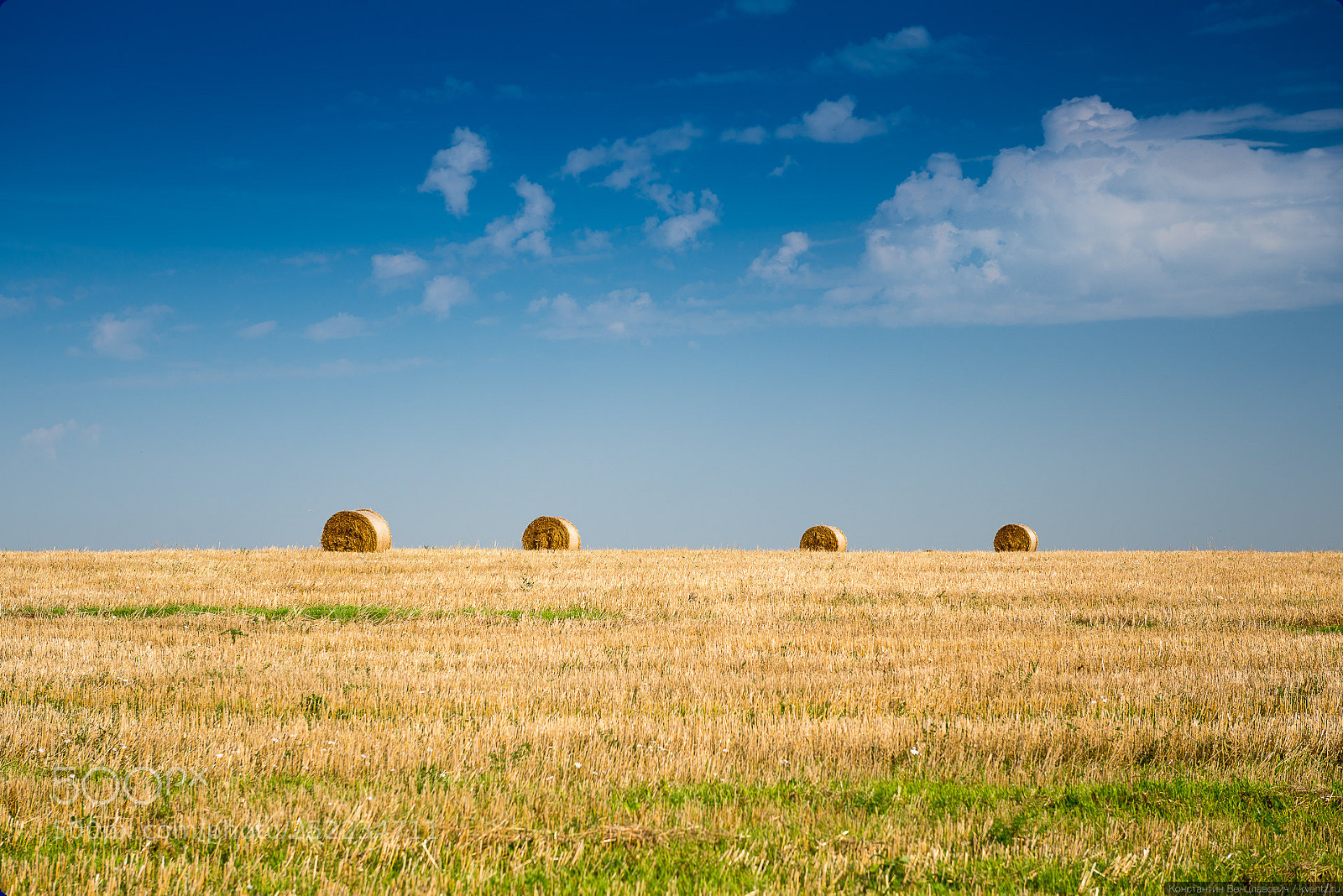 Nikon D800 sample photo. Stacks photography