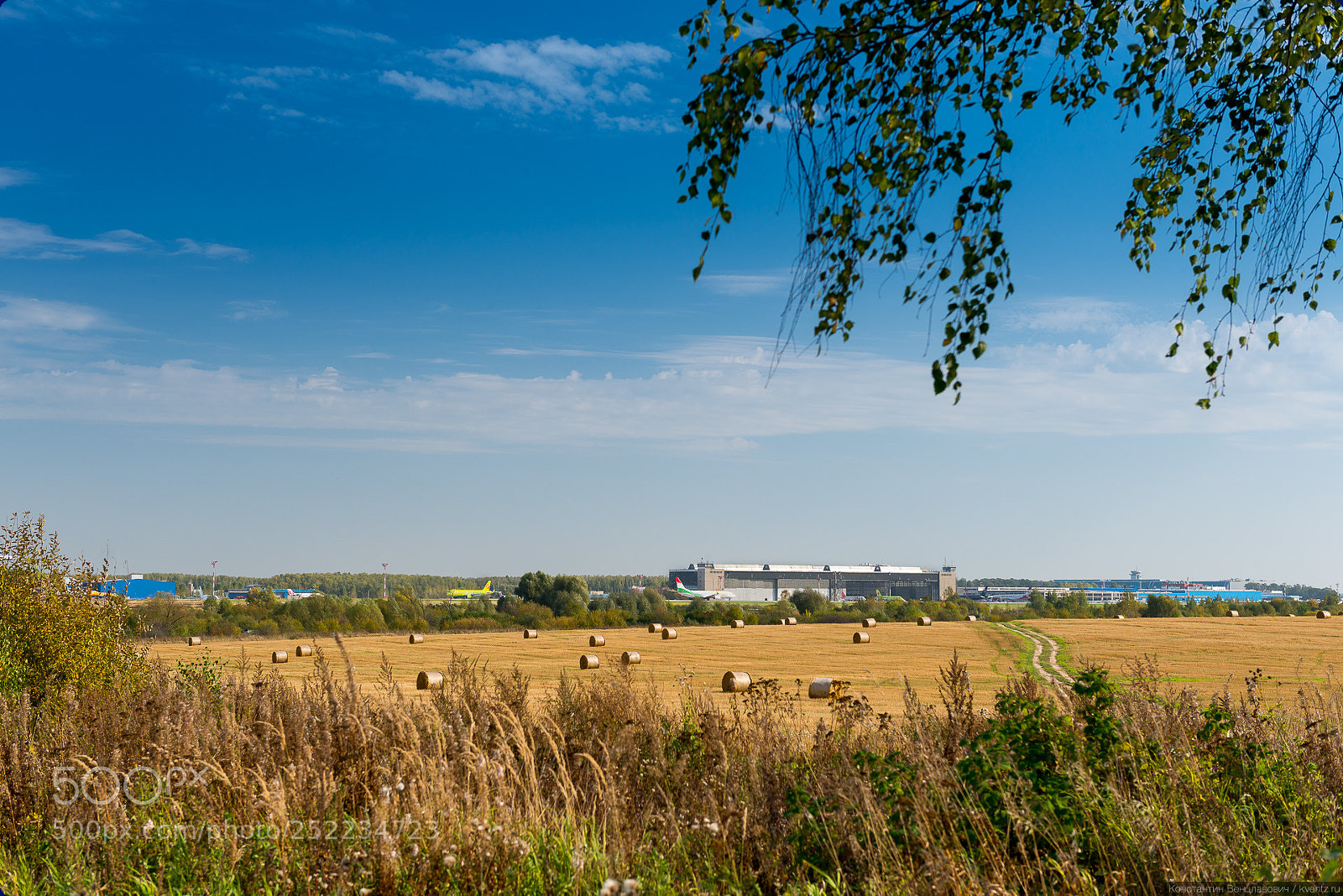 Nikon D800 sample photo. Near domodedovo airport, moscow photography
