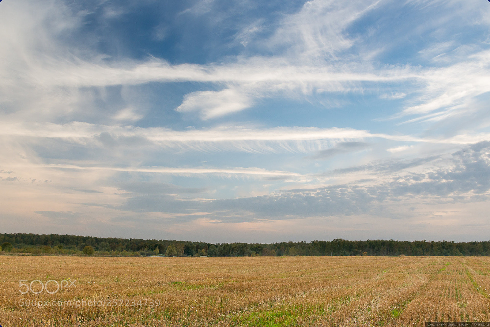 Nikon D800 sample photo. Evening sky photography