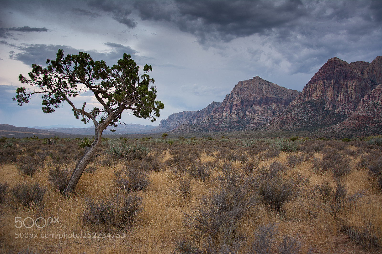 Nikon D5200 sample photo. Red rock canyon photography