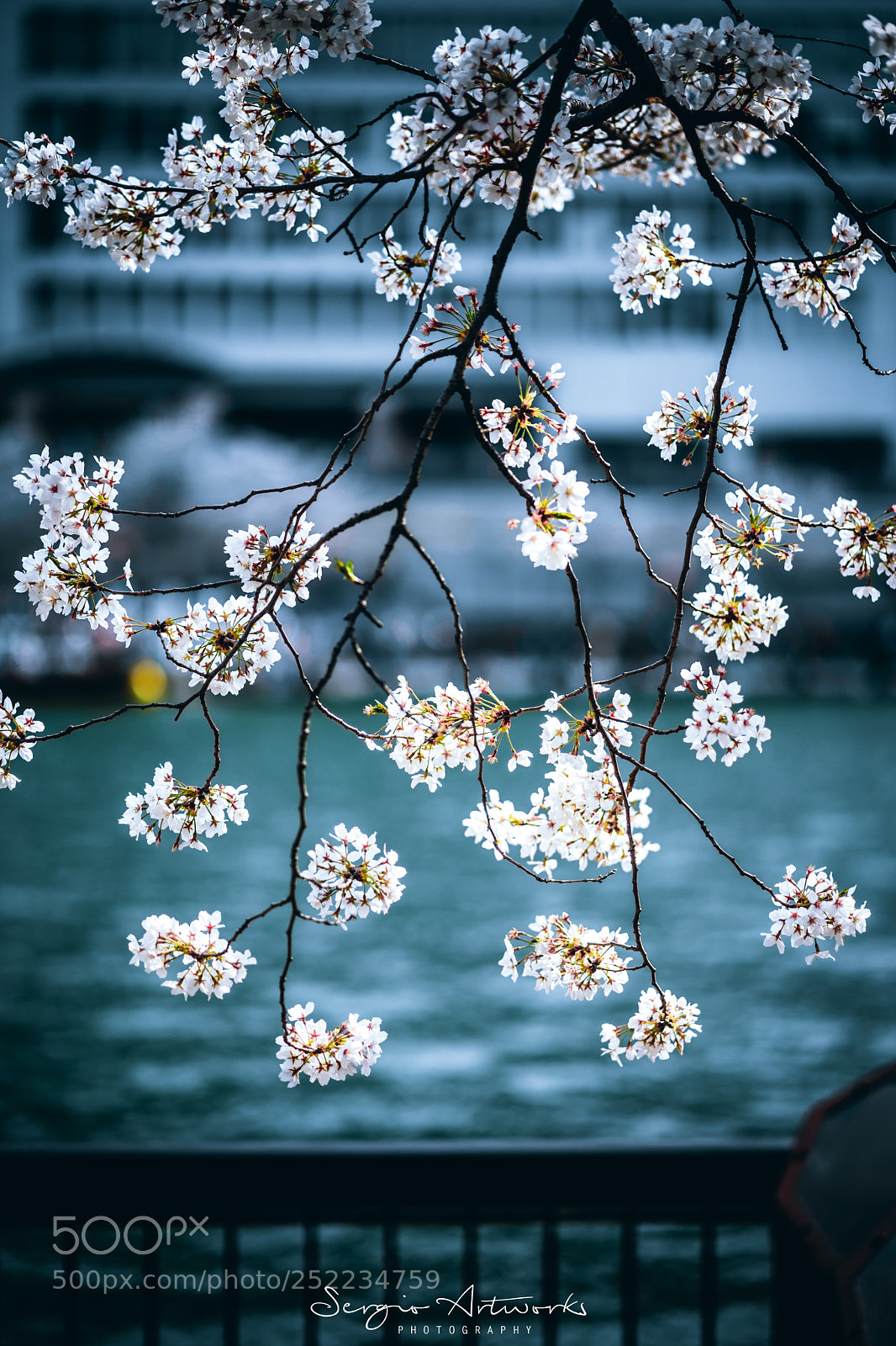 Sony a7 II sample photo. Tenmabashi, osaka photography
