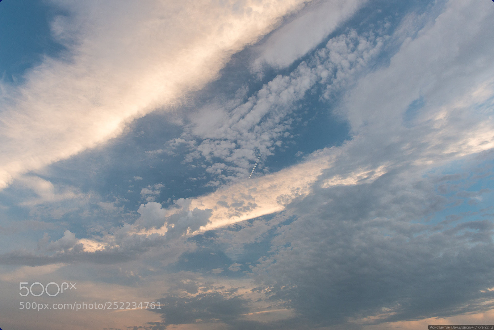 Nikon D800 sample photo. Flew away photography