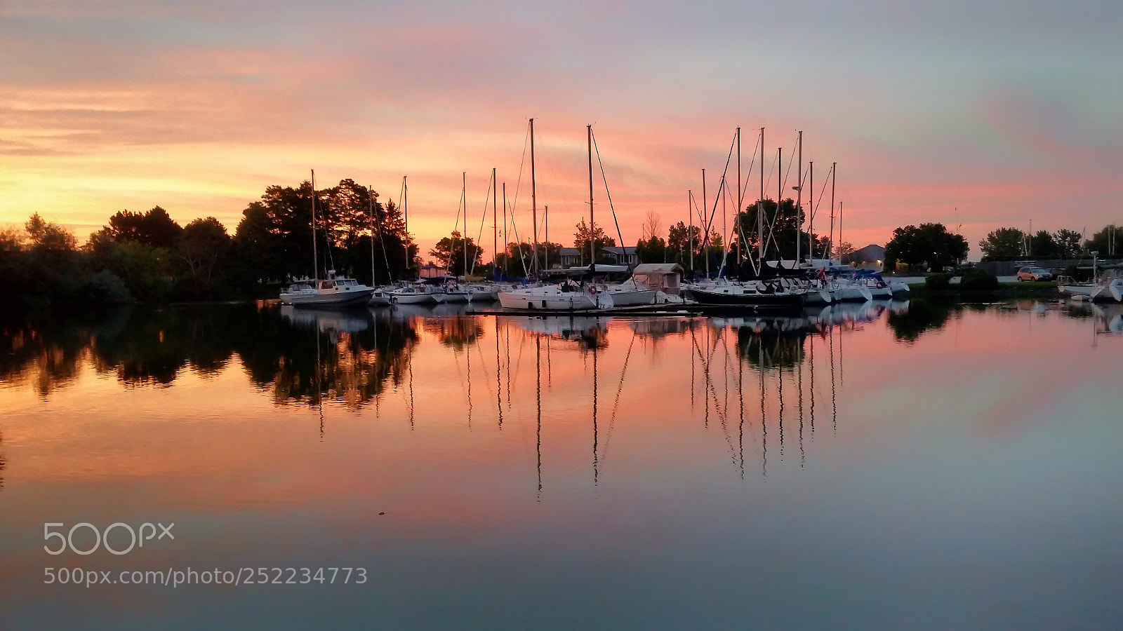 Samsung Galaxy S5 sample photo. Summer dream photography