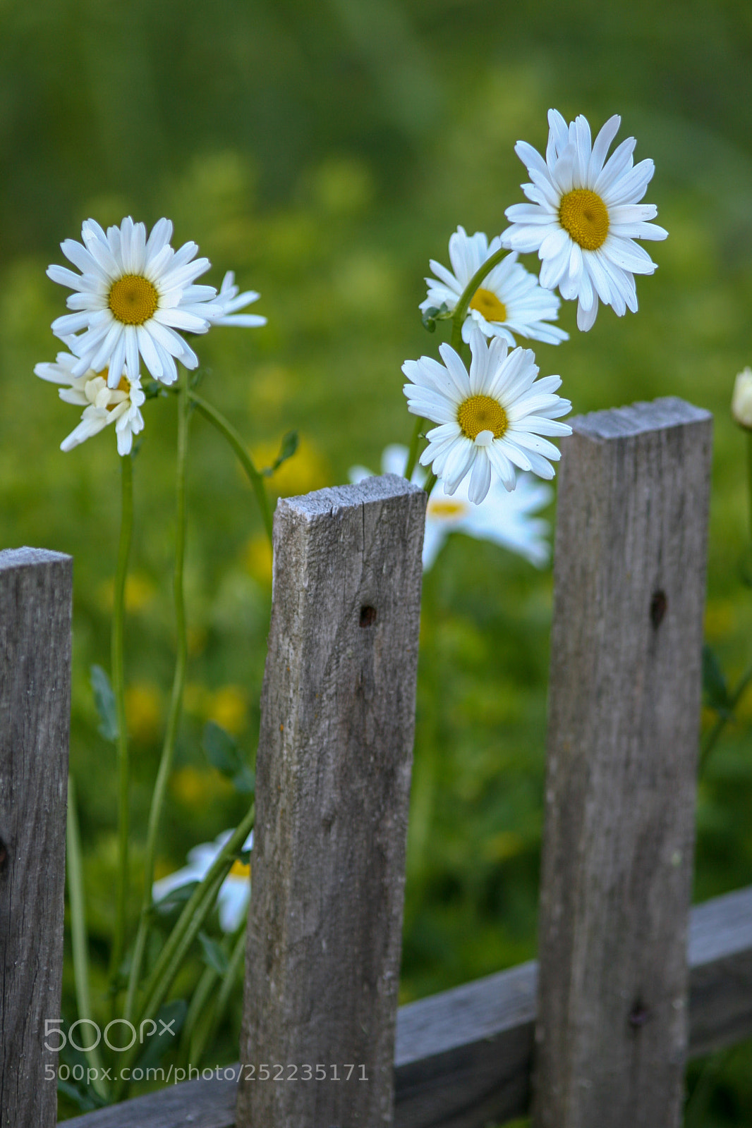 Canon EOS 5D sample photo. Untitled photography