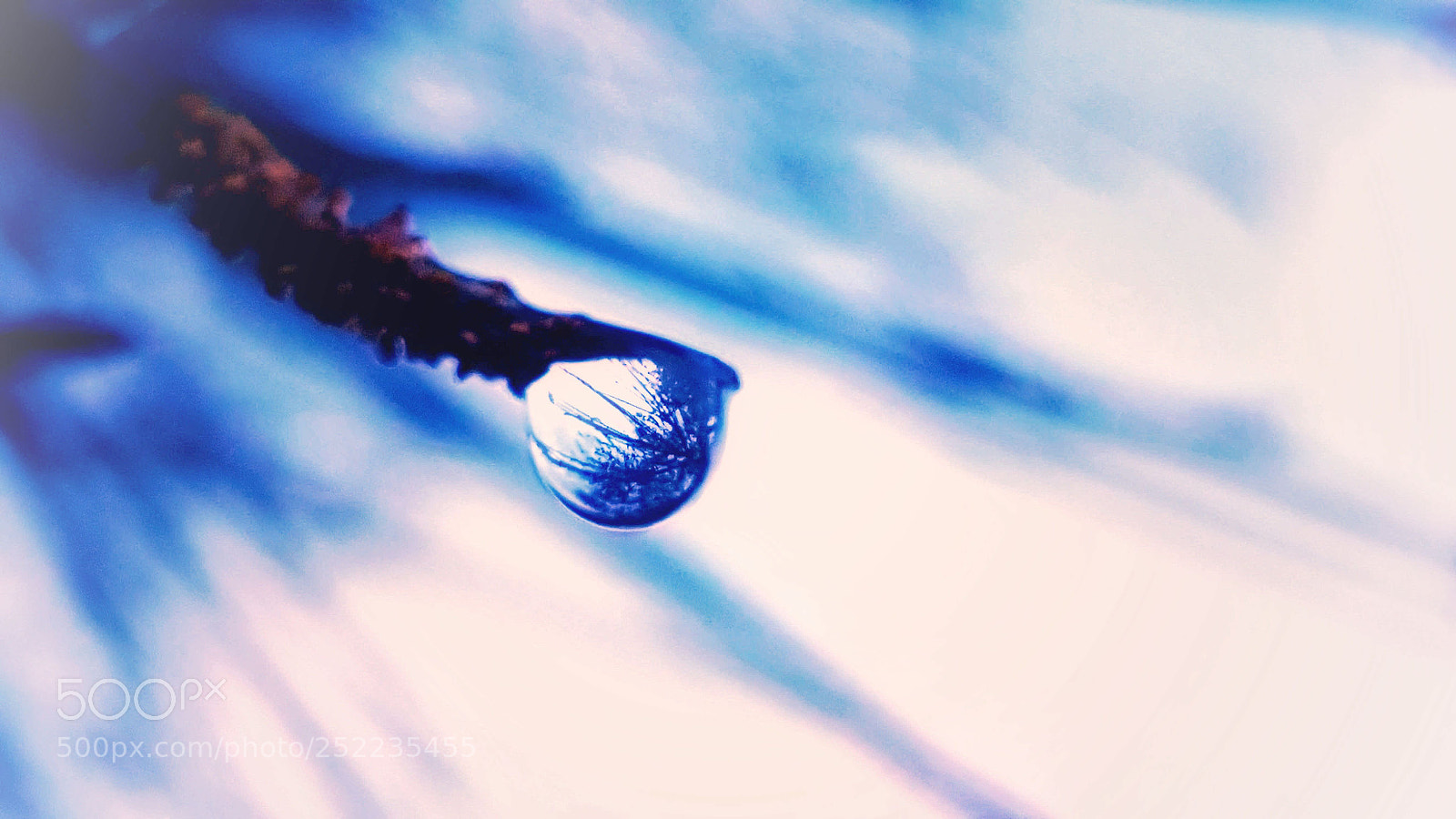 Samsung Galaxy Note5 sample photo. A drop of water photography