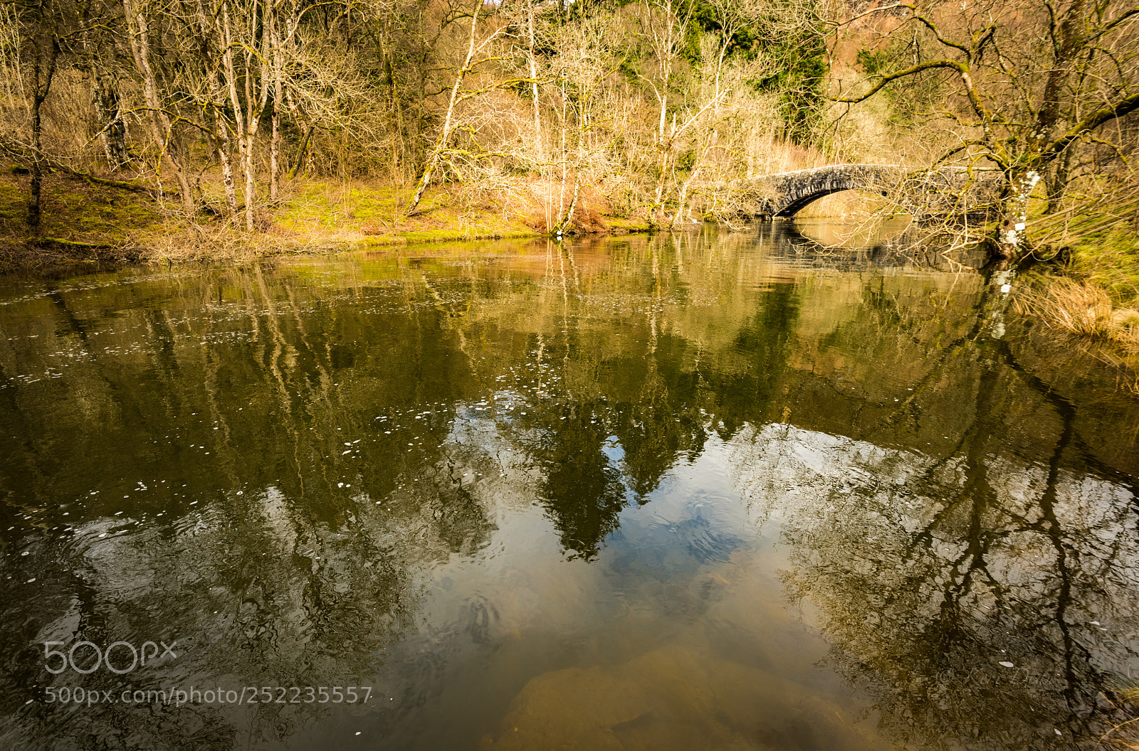 Nikon D810 sample photo. Reflections photography