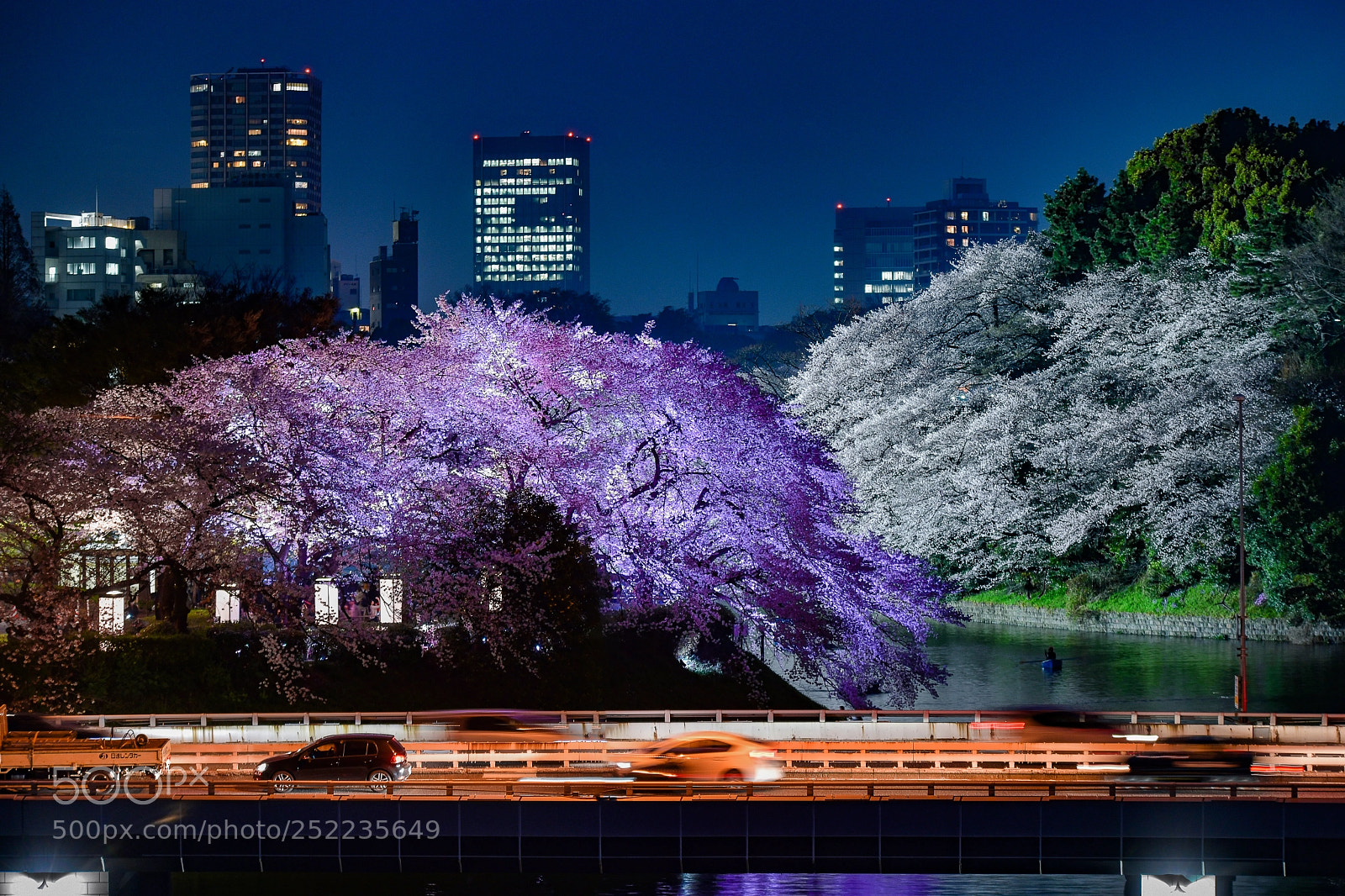 Nikon D850 sample photo. Dreamy night photography