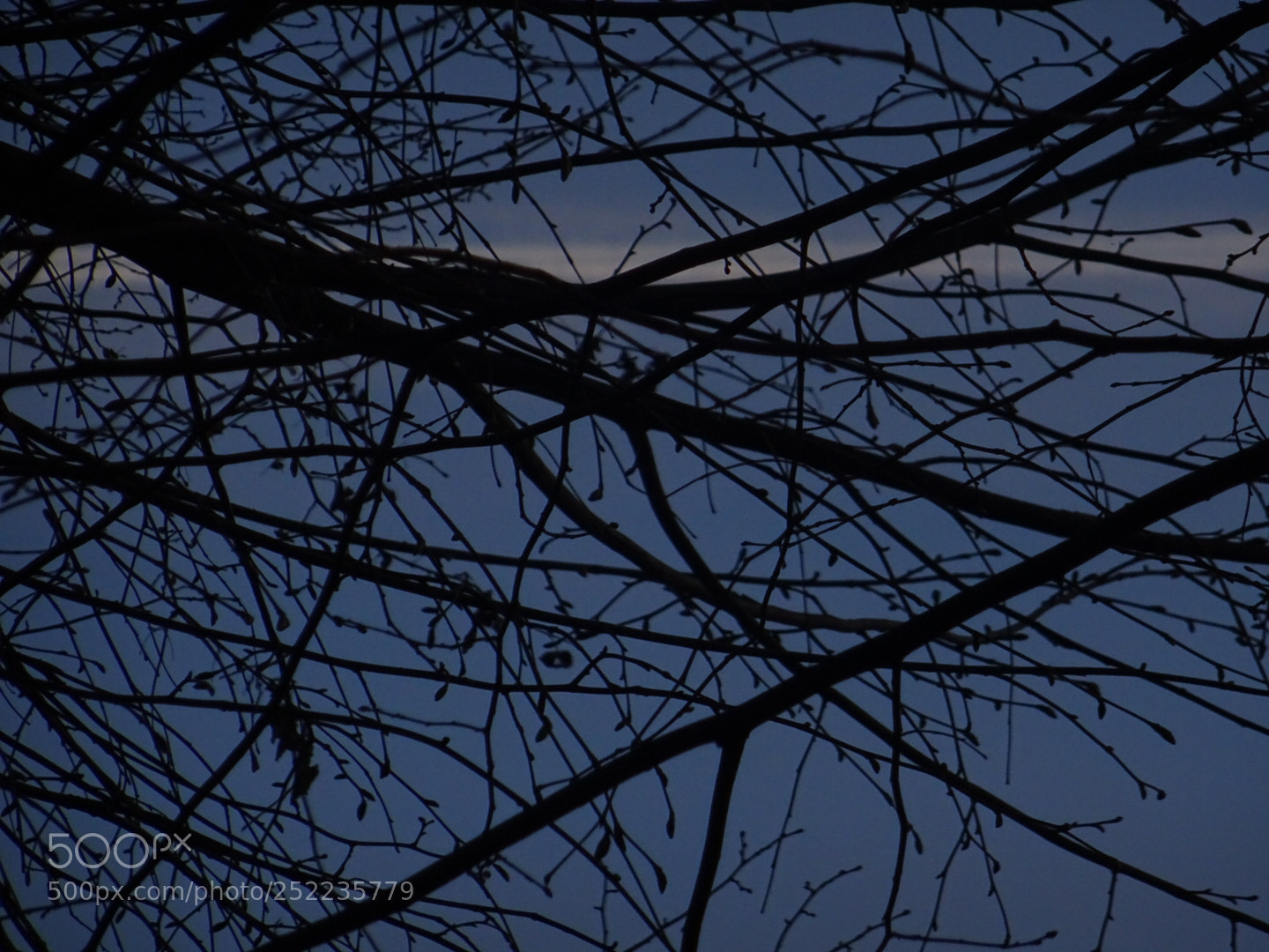 Sony DSC-HX60 sample photo. In the parc photography