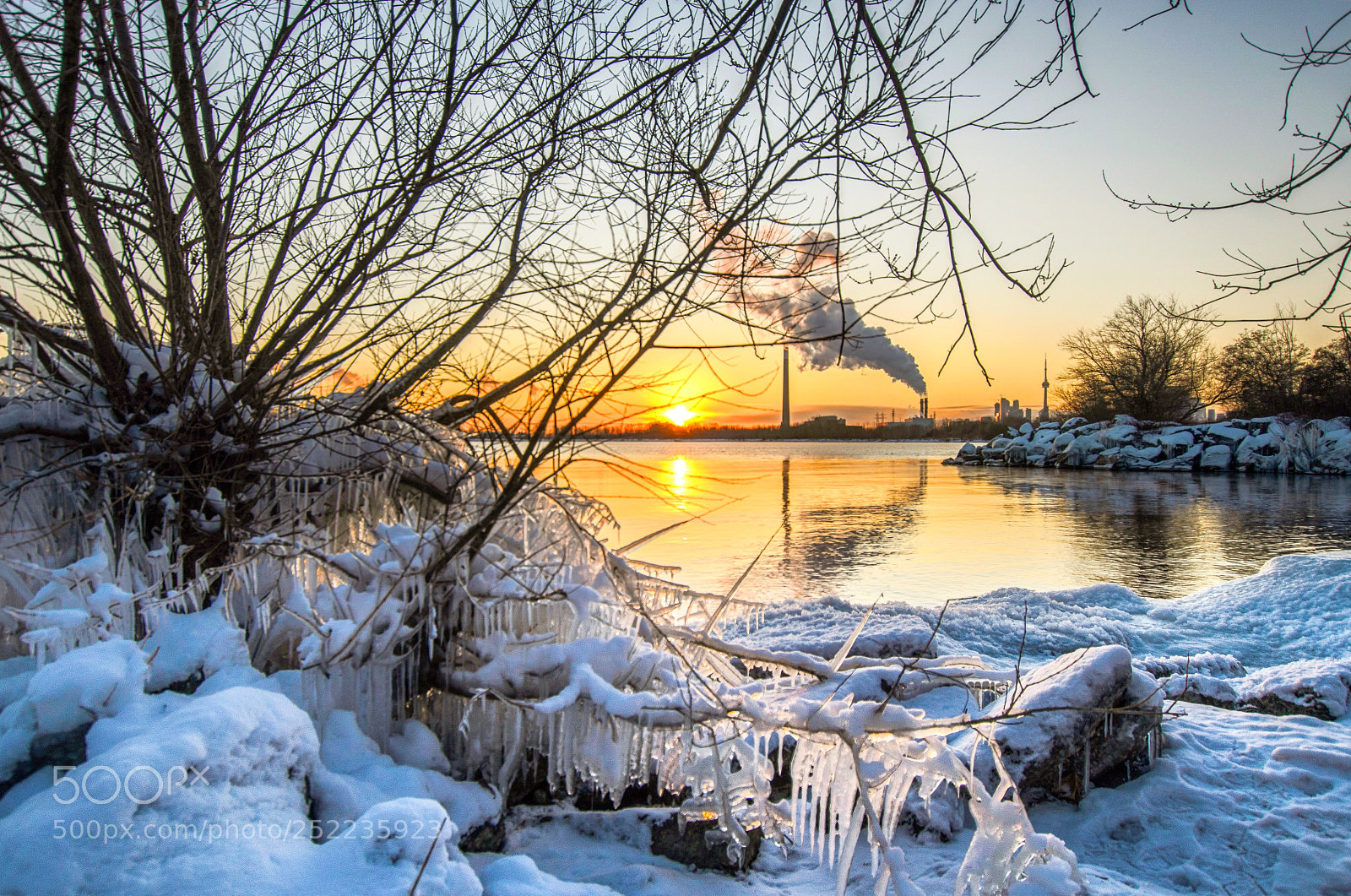 Nikon D5100 sample photo. Ice age  photography