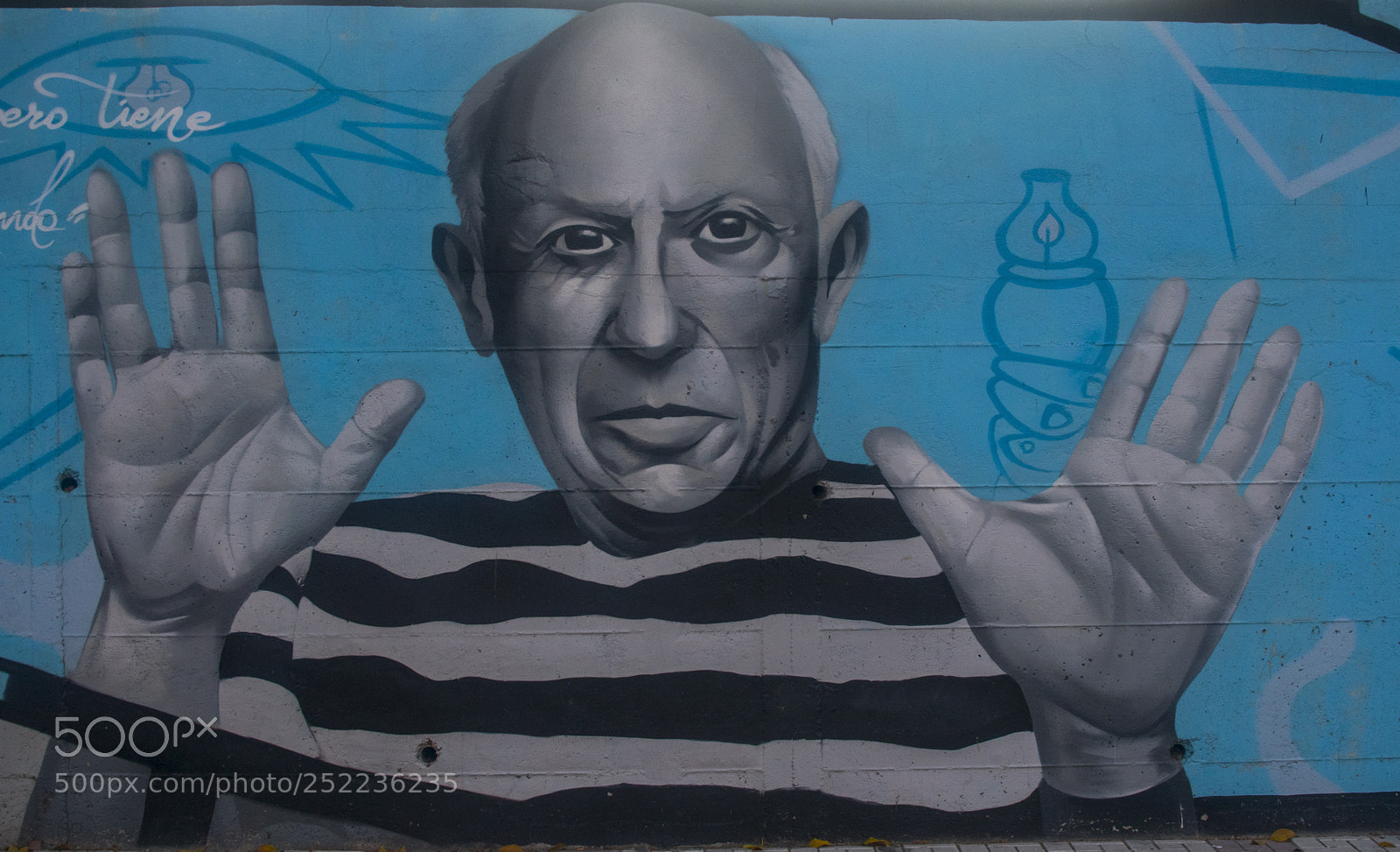 Nikon D3300 sample photo. Picasso photography