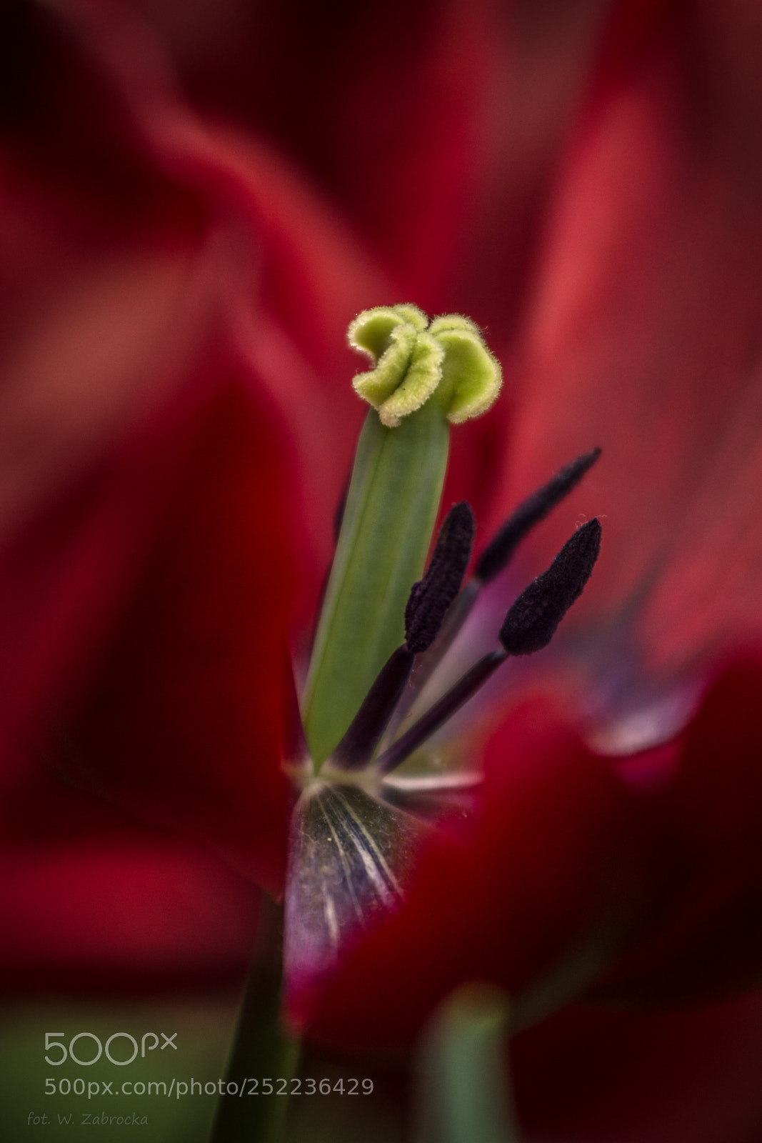 Nikon D7200 sample photo. Midst photography