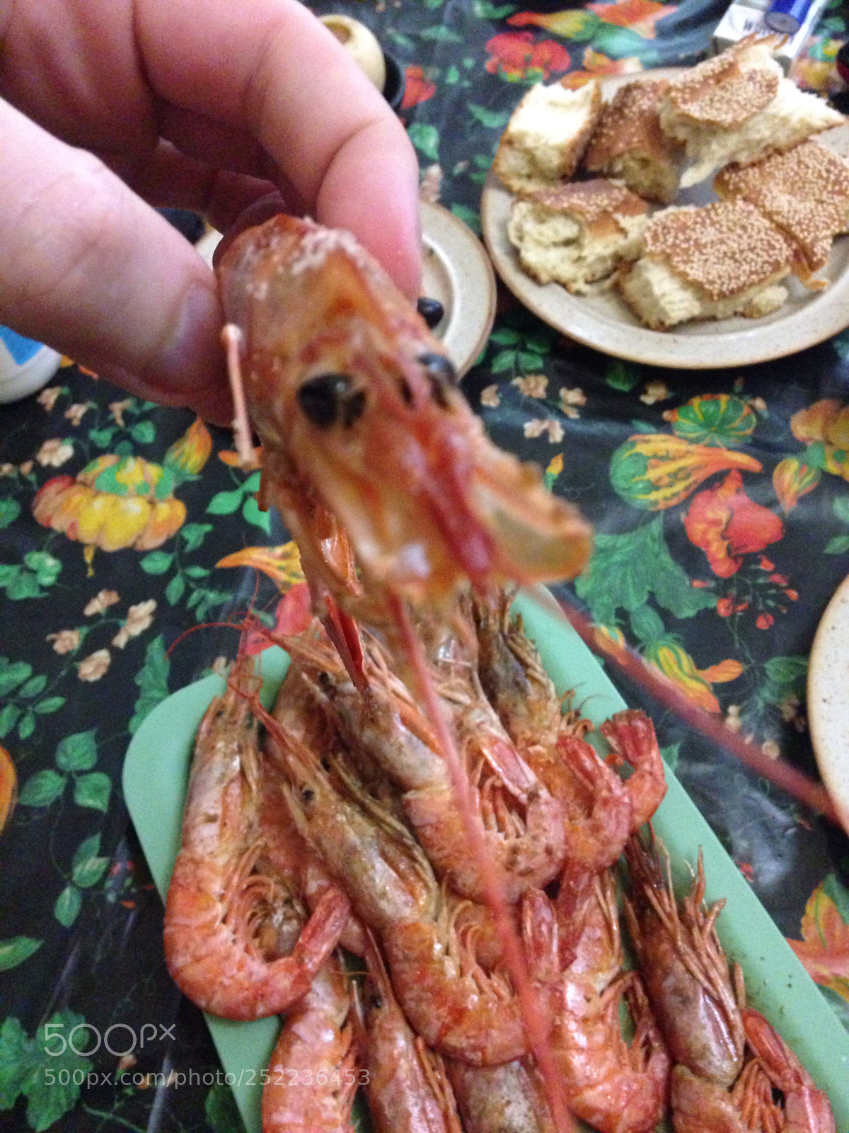 Apple iPhone 5c sample photo. Jessie the shrimp photography