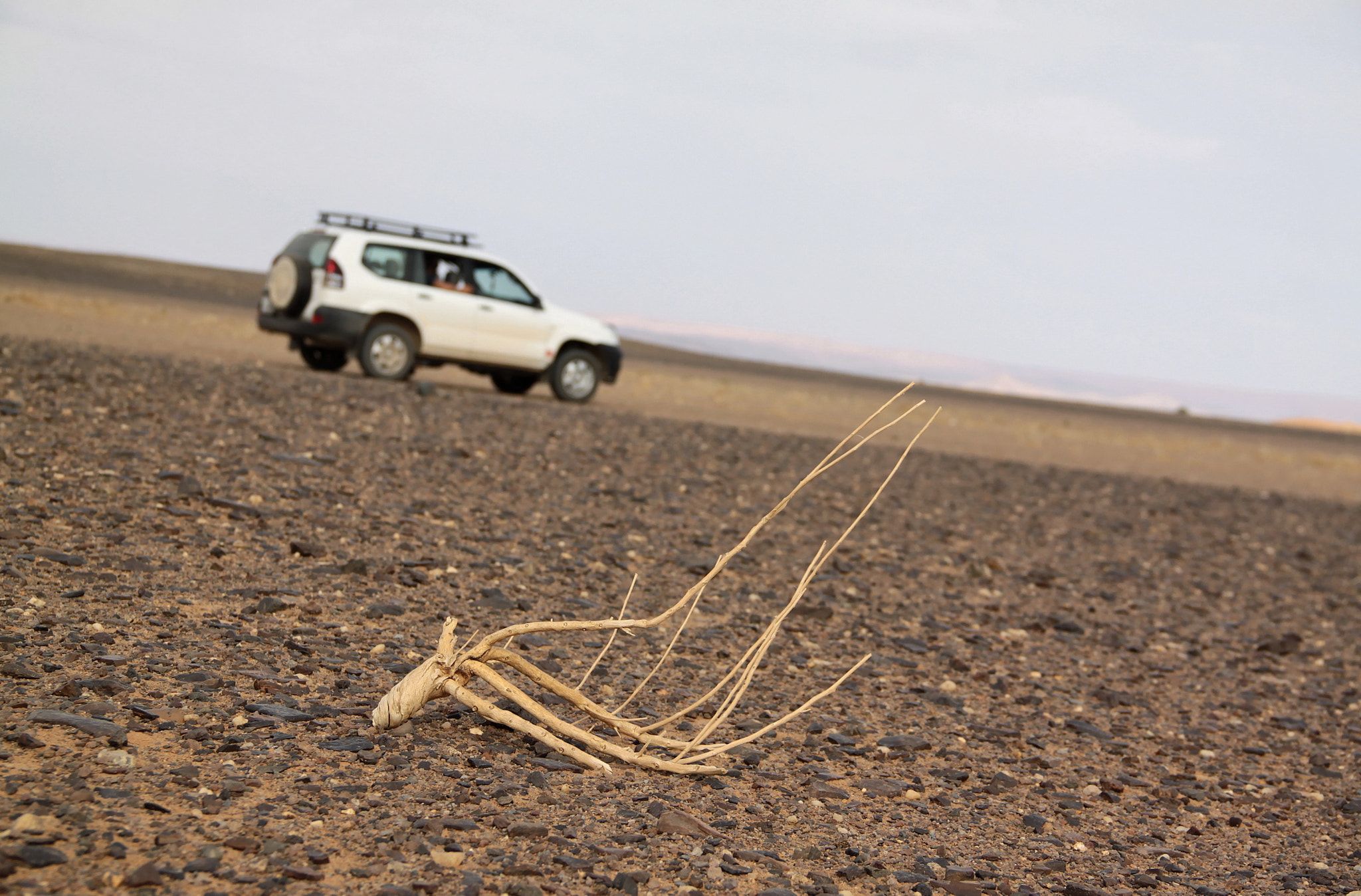 Canon EOS 500D (EOS Rebel T1i / EOS Kiss X3) sample photo. Merzouga: desert photography
