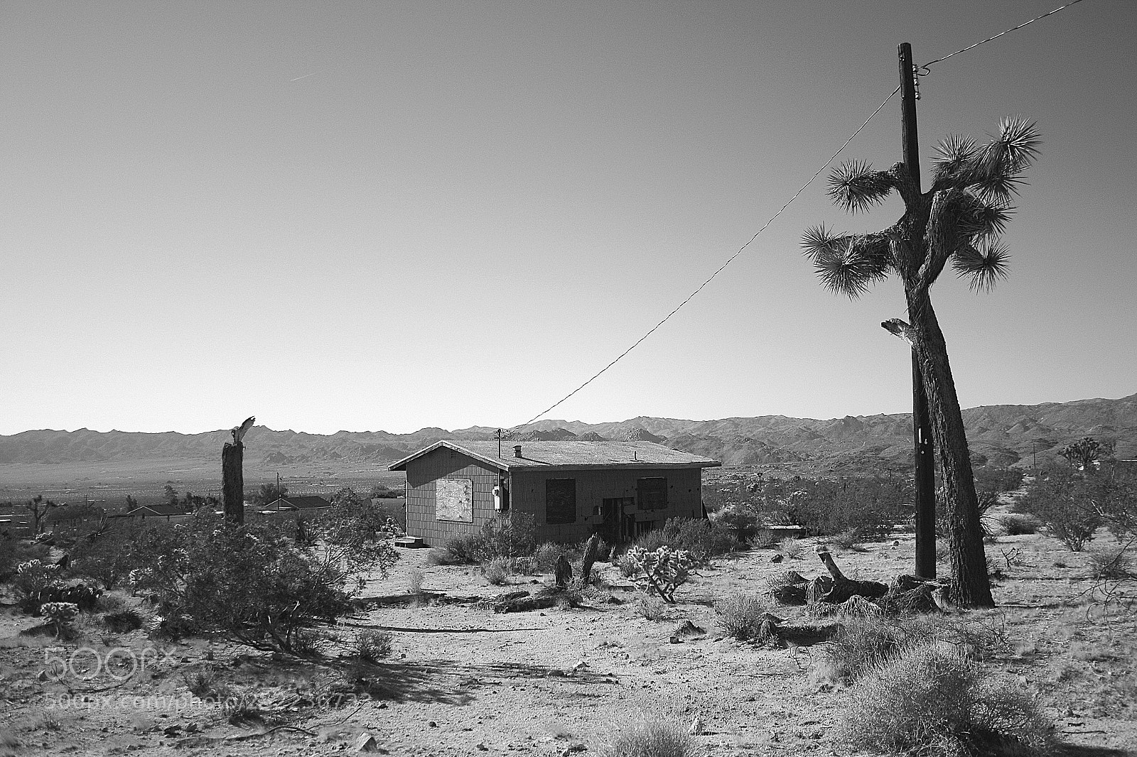 Canon EOS 70D sample photo. Joshua tree california photography