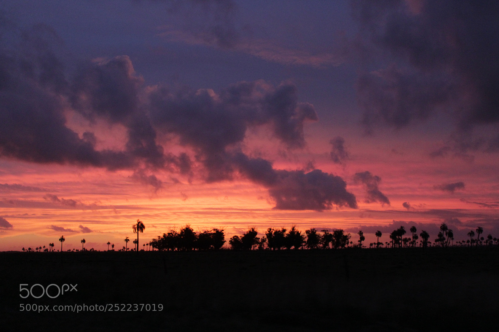 Canon EOS 1200D (EOS Rebel T5 / EOS Kiss X70 / EOS Hi) sample photo. Sunset photography