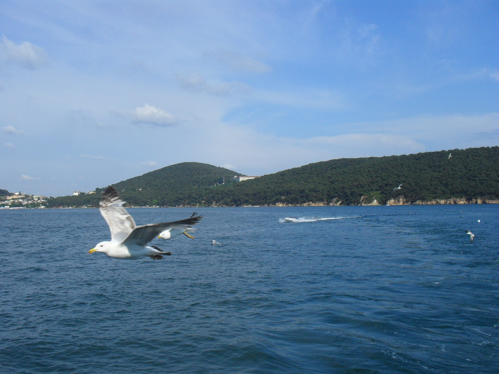 Samsung ES15 / VLUU ES15 /  SL30 sample photo. From the ferry photography