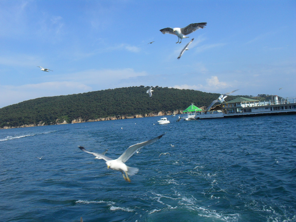 Samsung ES15 / VLUU ES15 /  SL30 sample photo. From the ferry photography