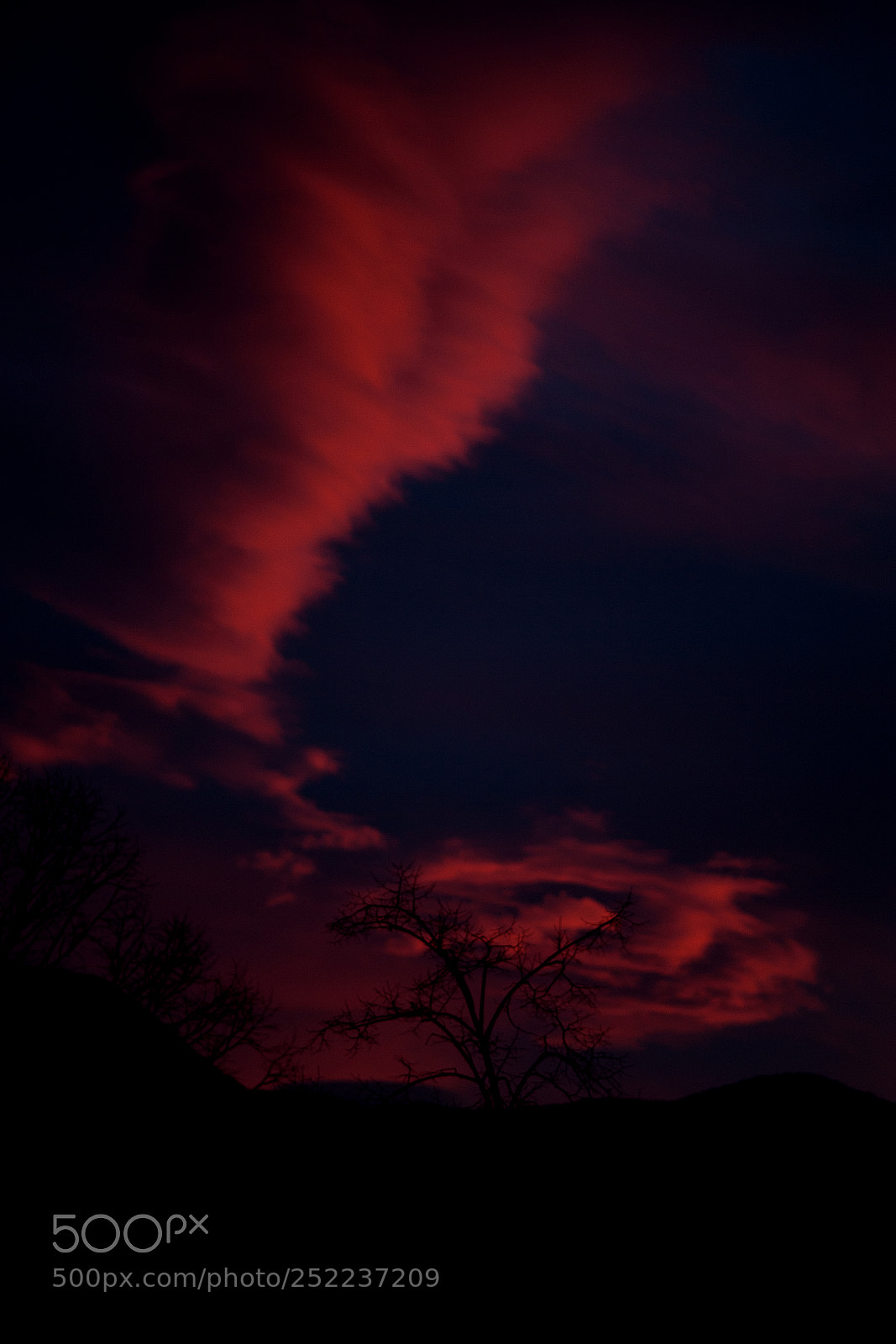 Nikon D3 sample photo. Red sunset photography