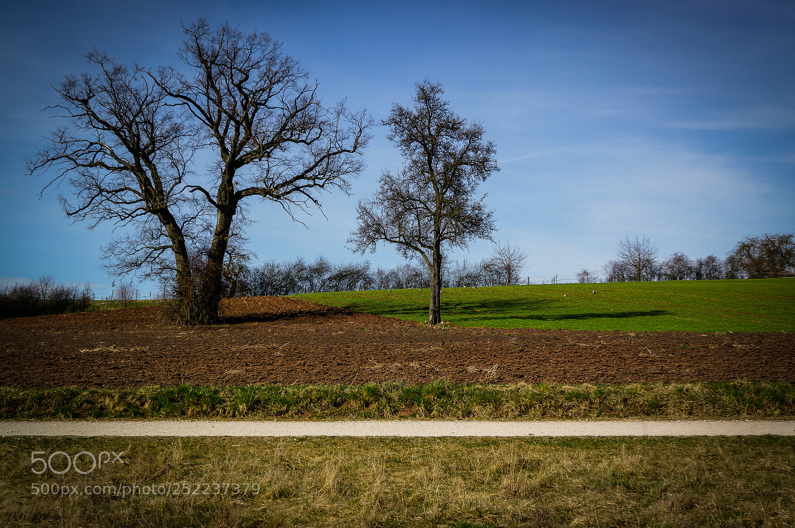 Sony Alpha NEX-5N sample photo. Am rothsee 04/2018 photography