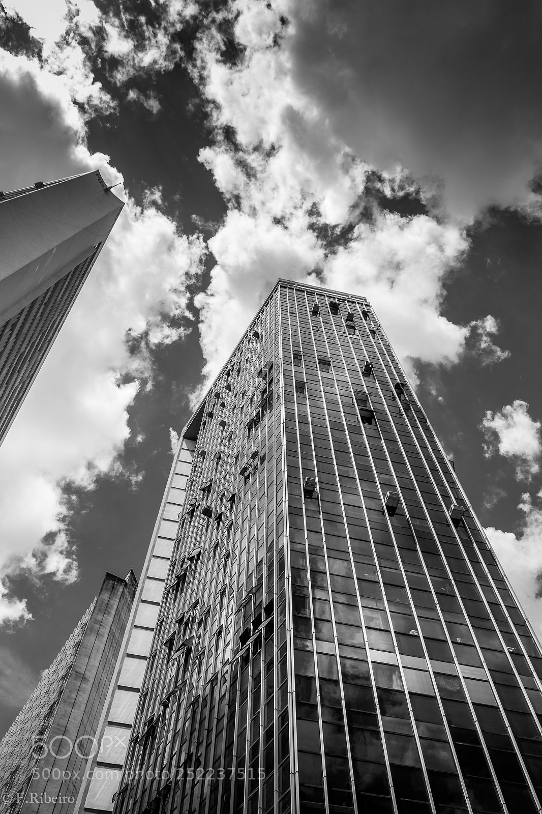 Nikon D5300 sample photo. Verticals. photography