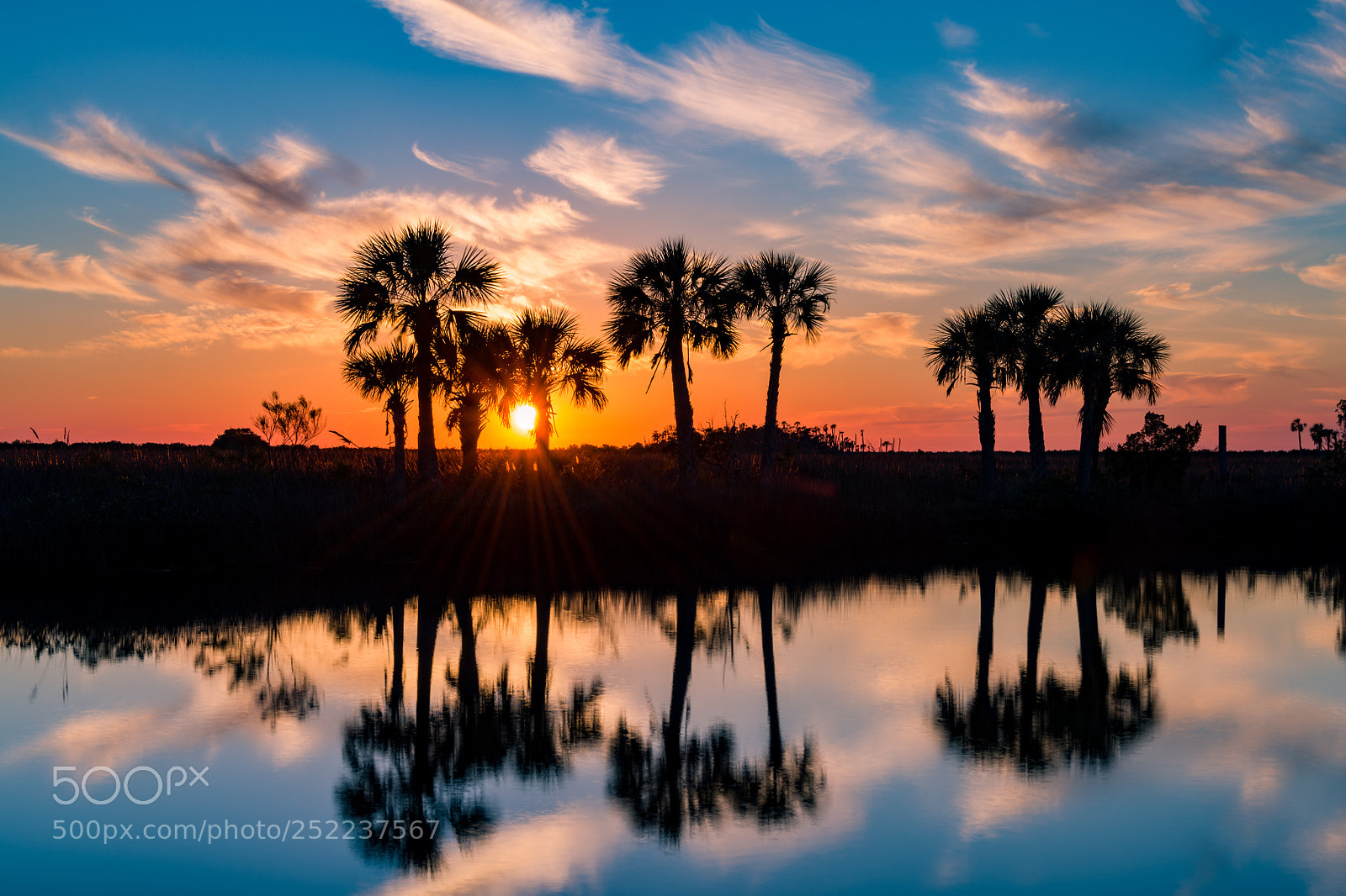 Nikon D850 sample photo. Aripeka sunset photography
