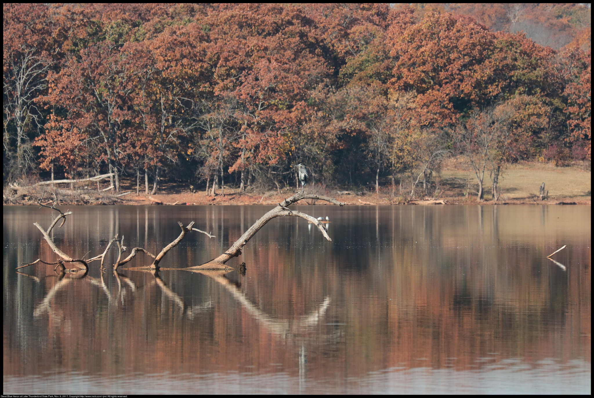 Canon EF 70-300 F4-5.6 IS II USM sample photo. Lake thunderbird state park with heron photography