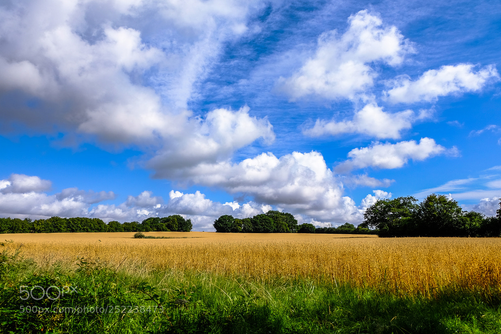 Fujifilm X-T10 sample photo. July photography