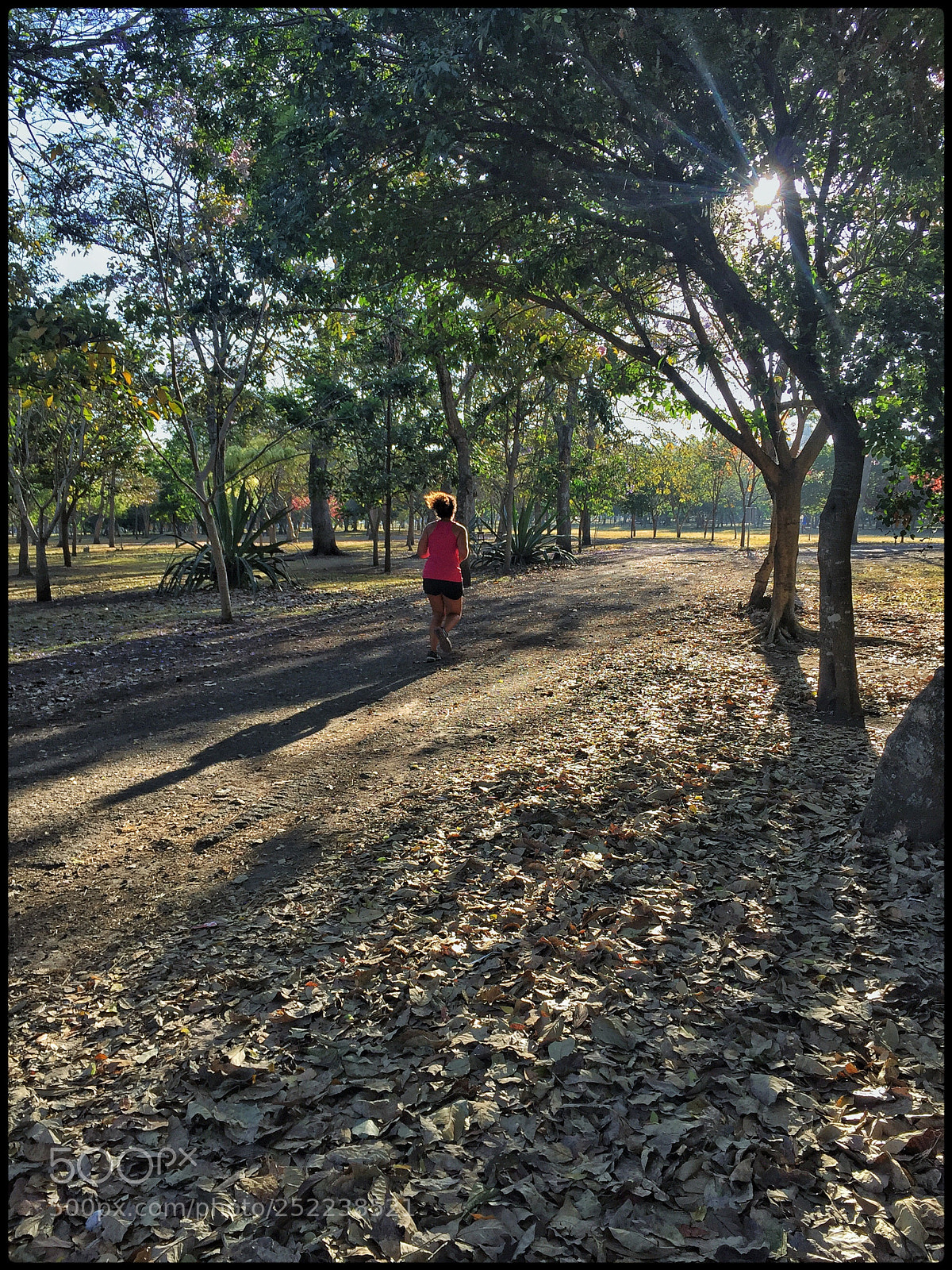 Apple iPhone 6 sample photo. Trota mundos photography