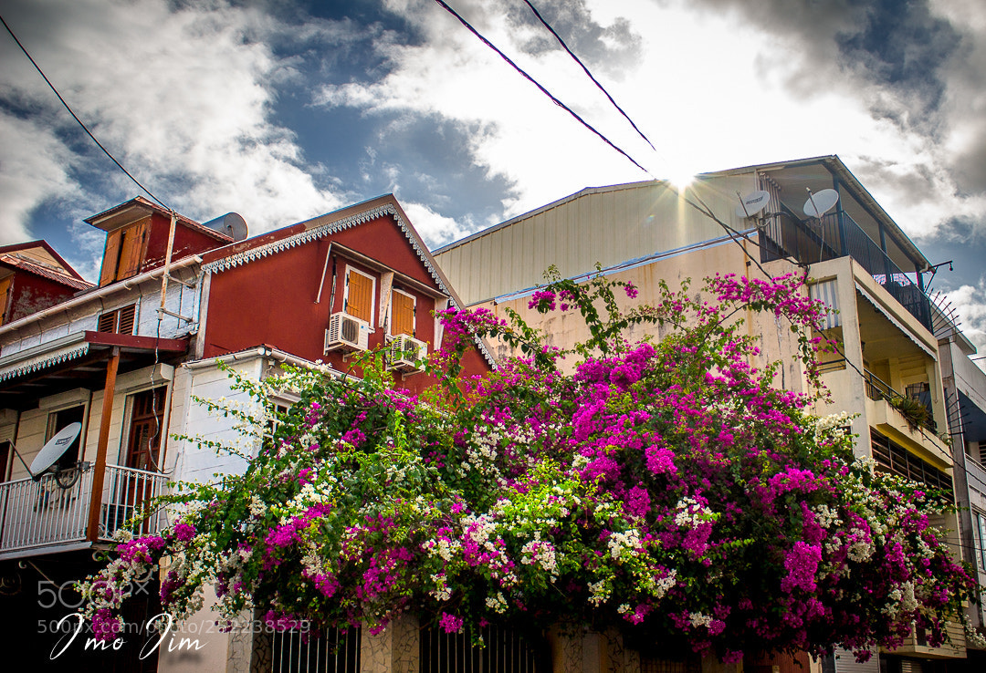 Canon EOS 100D (EOS Rebel SL1 / EOS Kiss X7) sample photo. Fleurie photography