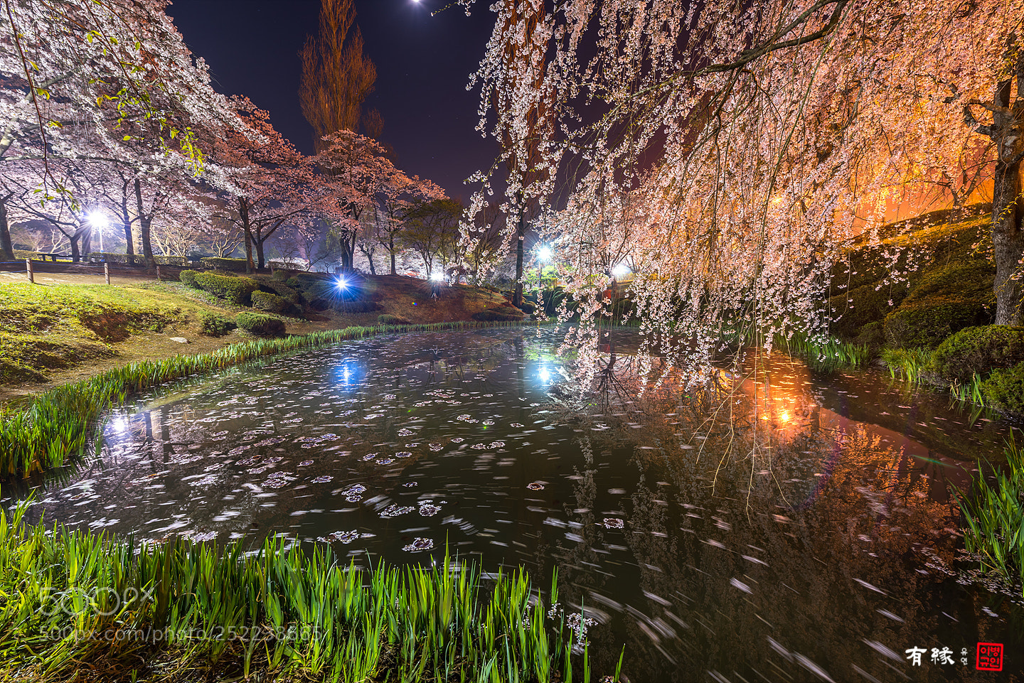 Nikon D810 sample photo. . photography