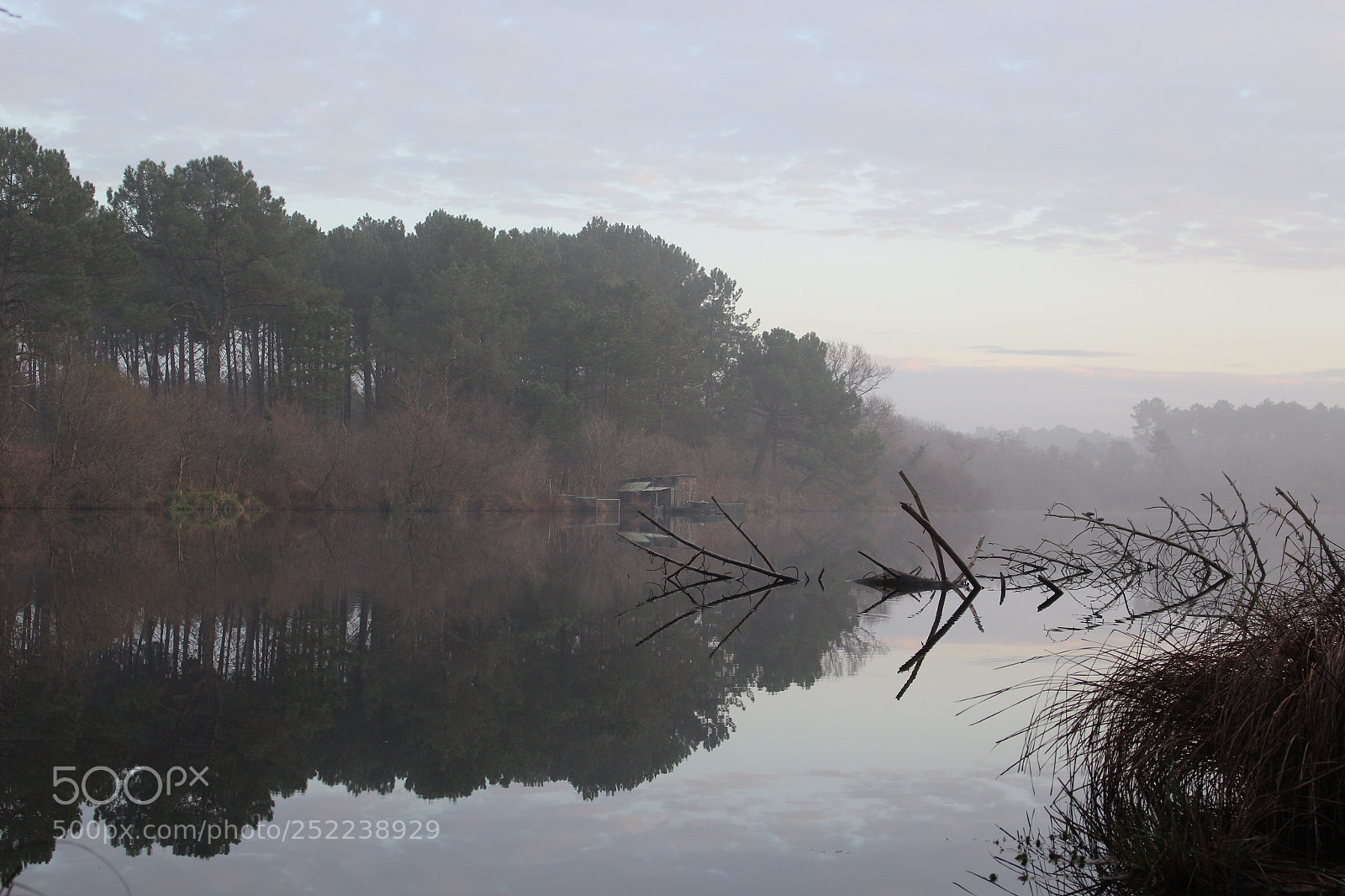 Canon EOS 100D (EOS Rebel SL1 / EOS Kiss X7) sample photo. Misty lake photography