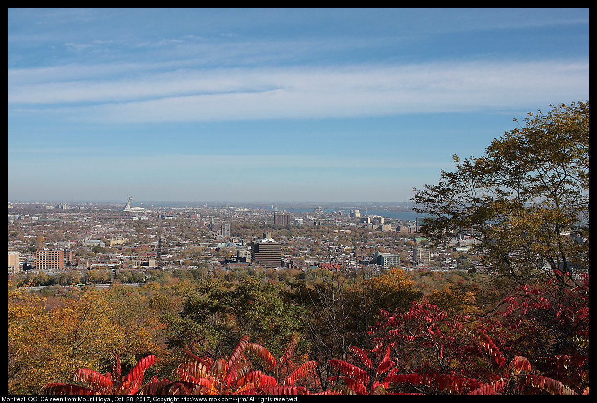 Canon EOS 500D (EOS Rebel T1i / EOS Kiss X3) sample photo. Montreal viewed from mt. royal photography