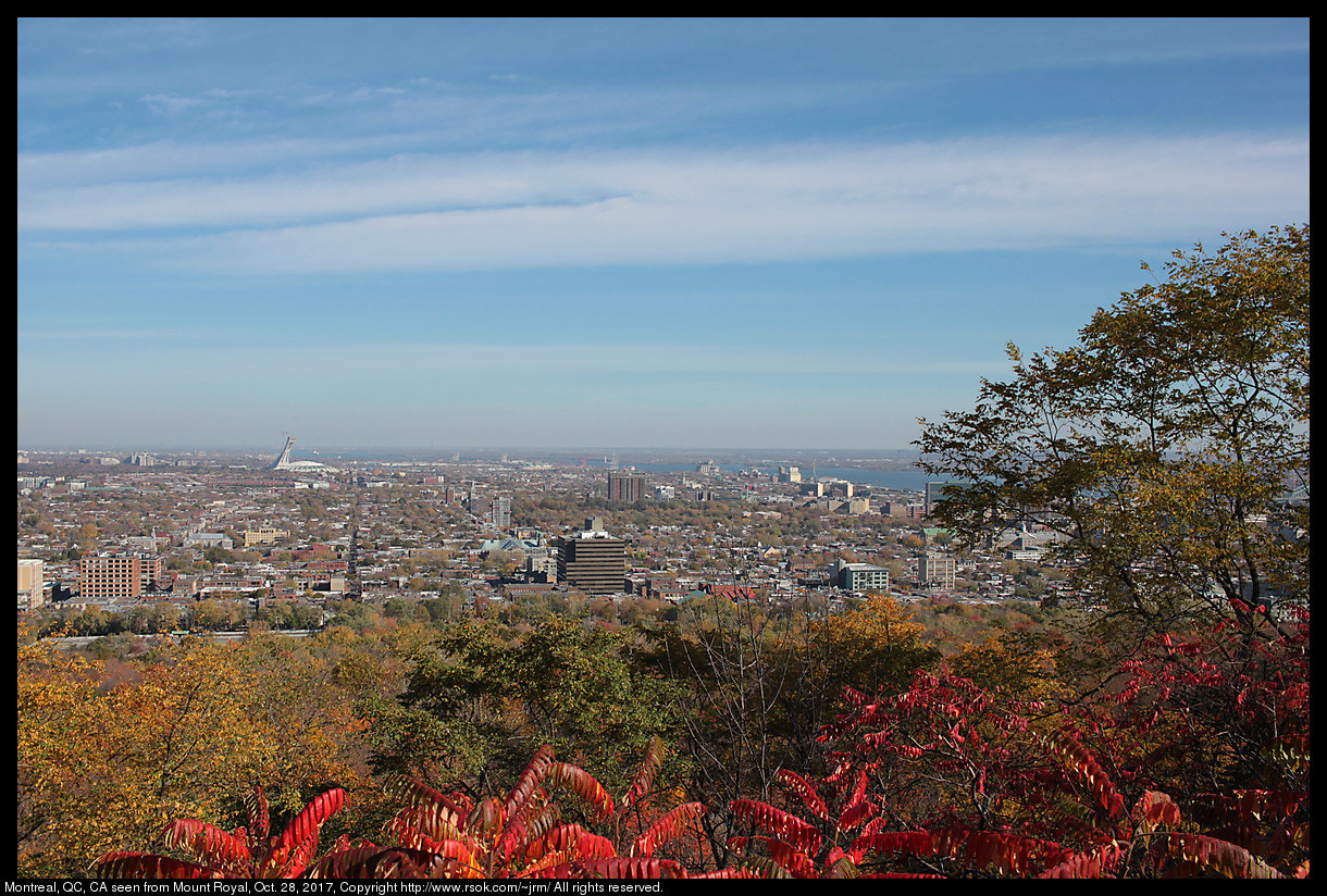 Canon EF-S 24mm F2.8 STM sample photo. Montreal viewed from mt. royal photography