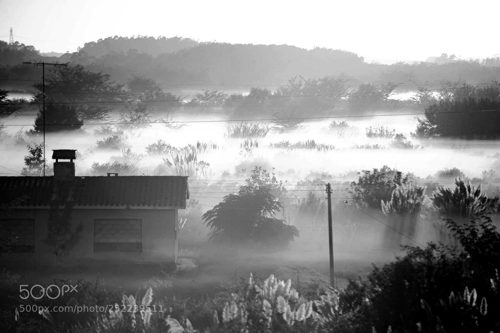 Canon EOS 5D sample photo. 7am photography