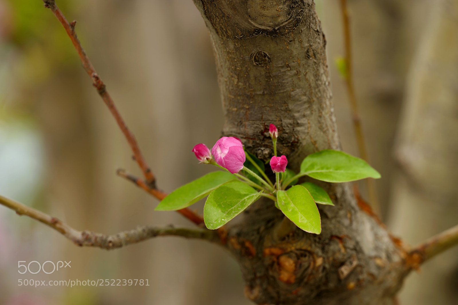 Leica SL (Typ 601) sample photo. Untitled photography
