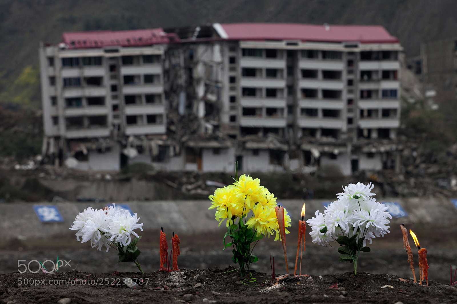 Canon EOS 5D Mark II sample photo. Untitled photography