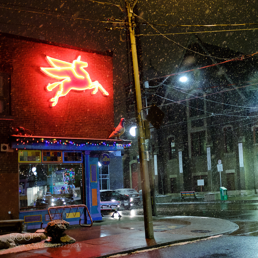 Fujifilm X100F sample photo. Flying pony photography